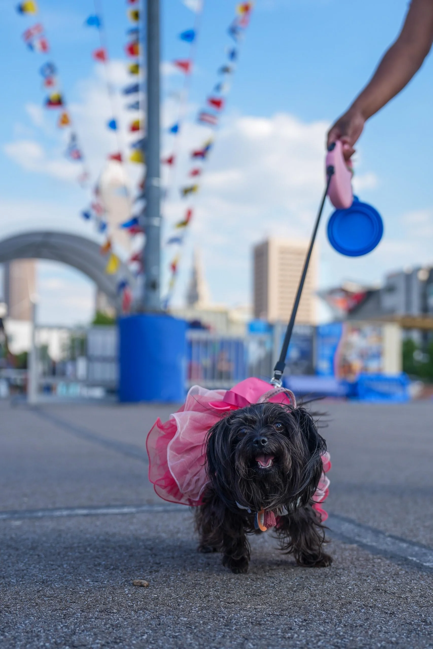 Welcome Taylor Swift to the Cleveland Lakefront by celebrating with Kristin In Cleveland!