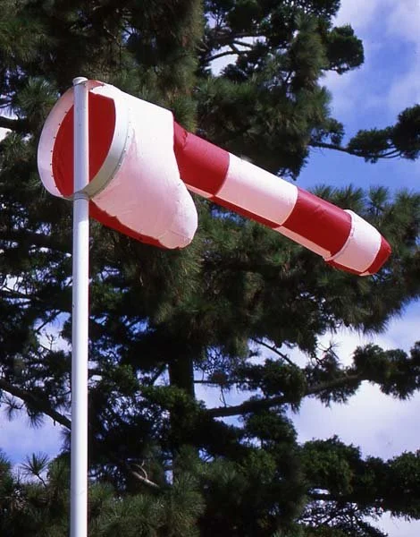 BLOW_DETAIL.jpg
