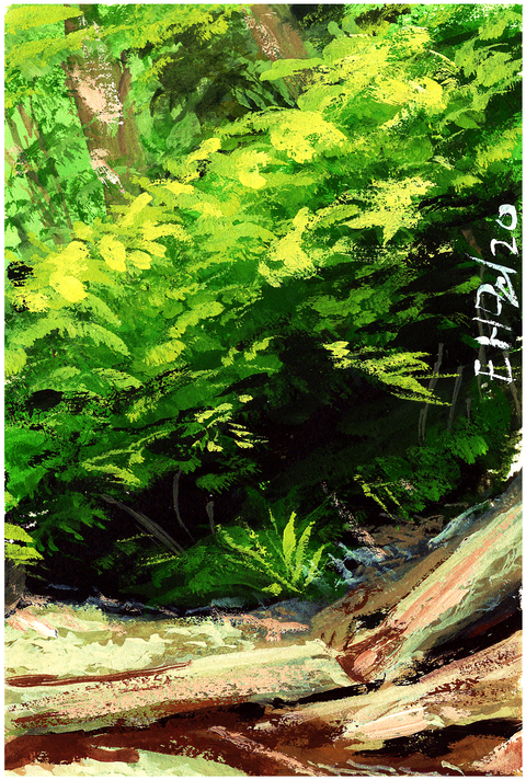 Postcard 5 - Fallen Tree
