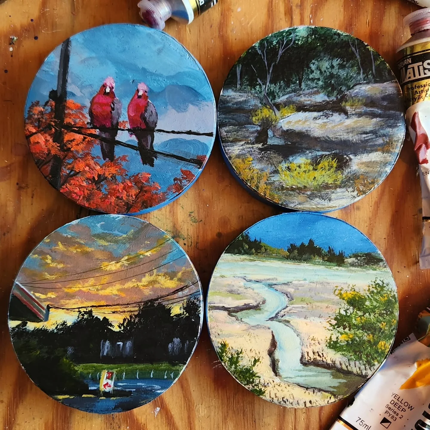 A new set of hand-painted coasters, all ready to be adopted! This set features two galahs seen in Crows Nest, QLD. The 7eleven from the end of the road, the summit of a trail in Karawartha forest and a scene captured by @bunnyknickers who graciously 