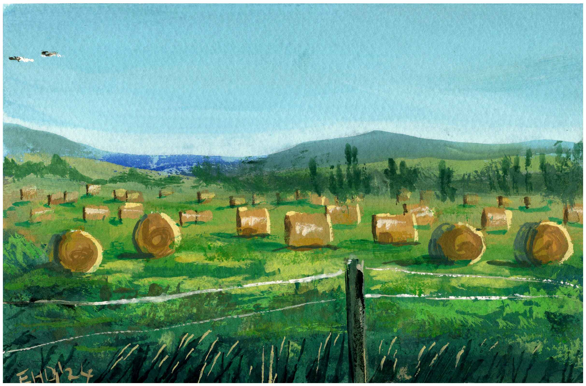 G65_ban-ban-springs-haybales.png