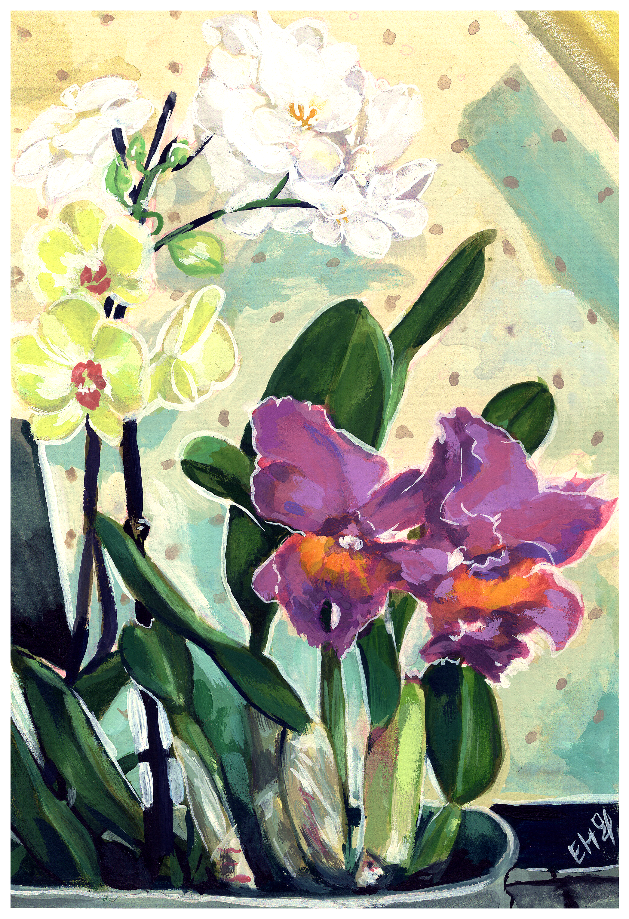 A4_orchids_slim_matting.png