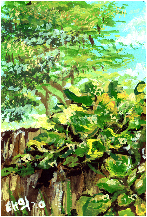 Postcard 3 - Backyard