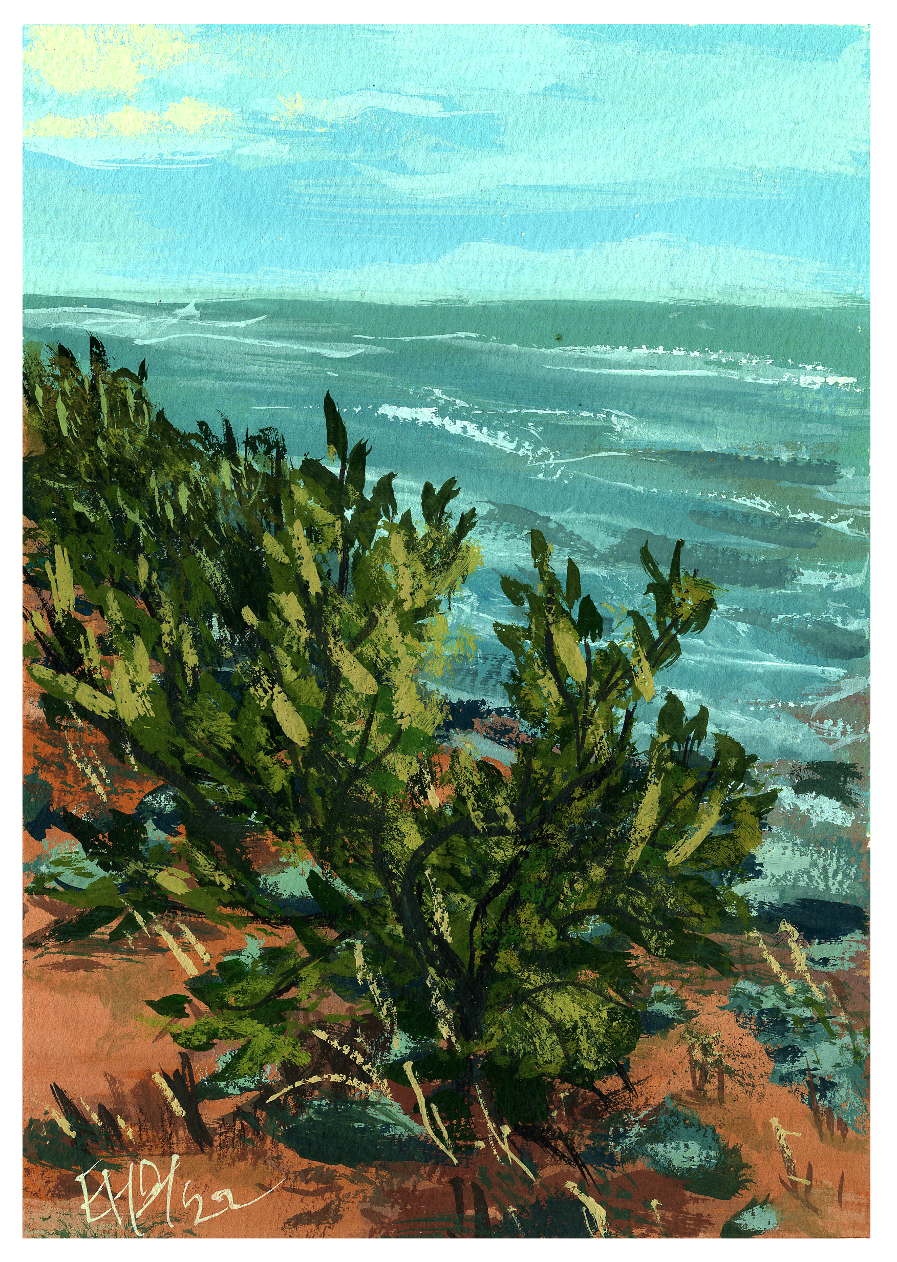 G17_Jade-shore-nudgee.png