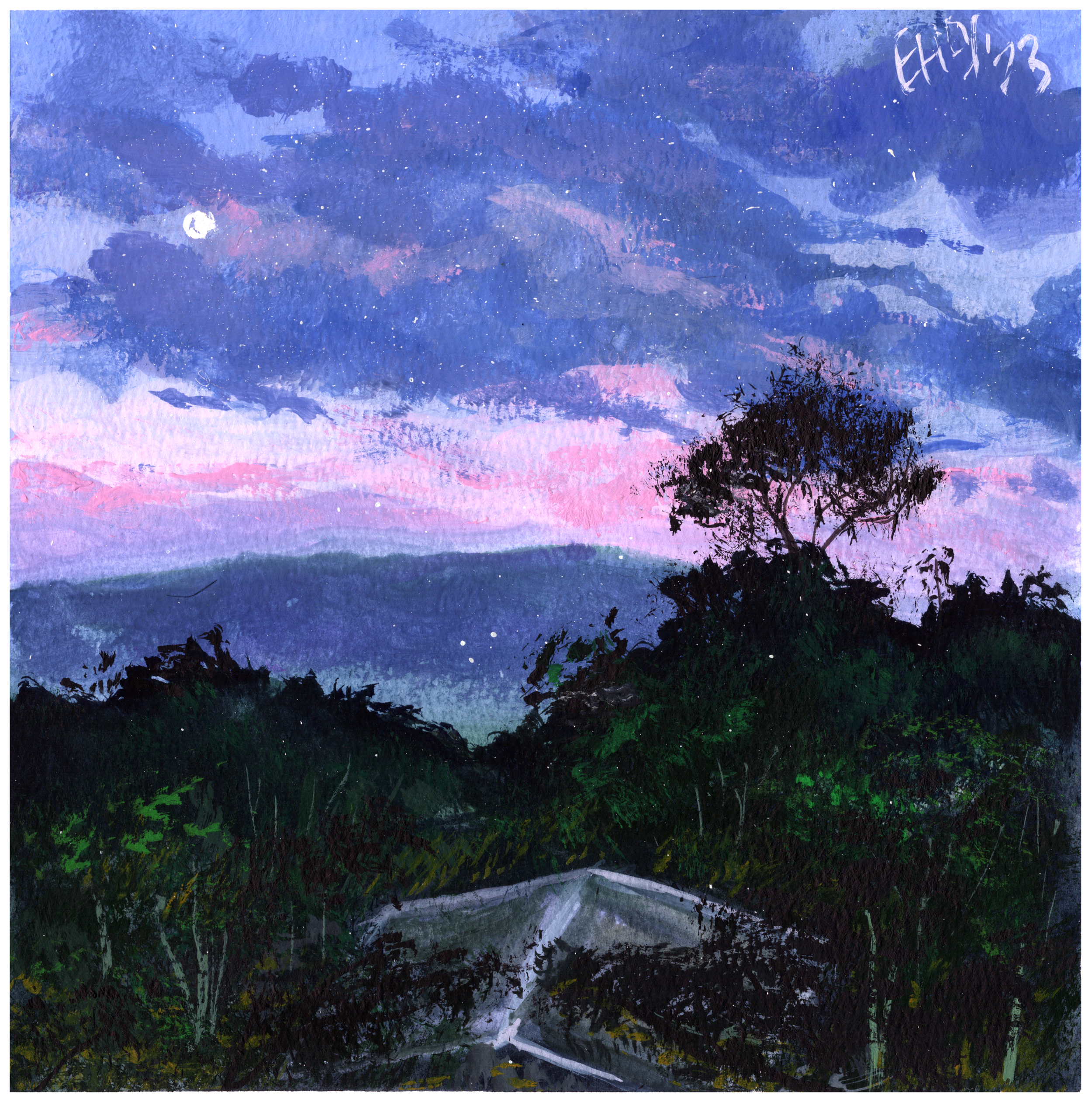 G51_dusk-at-binna-burra.png