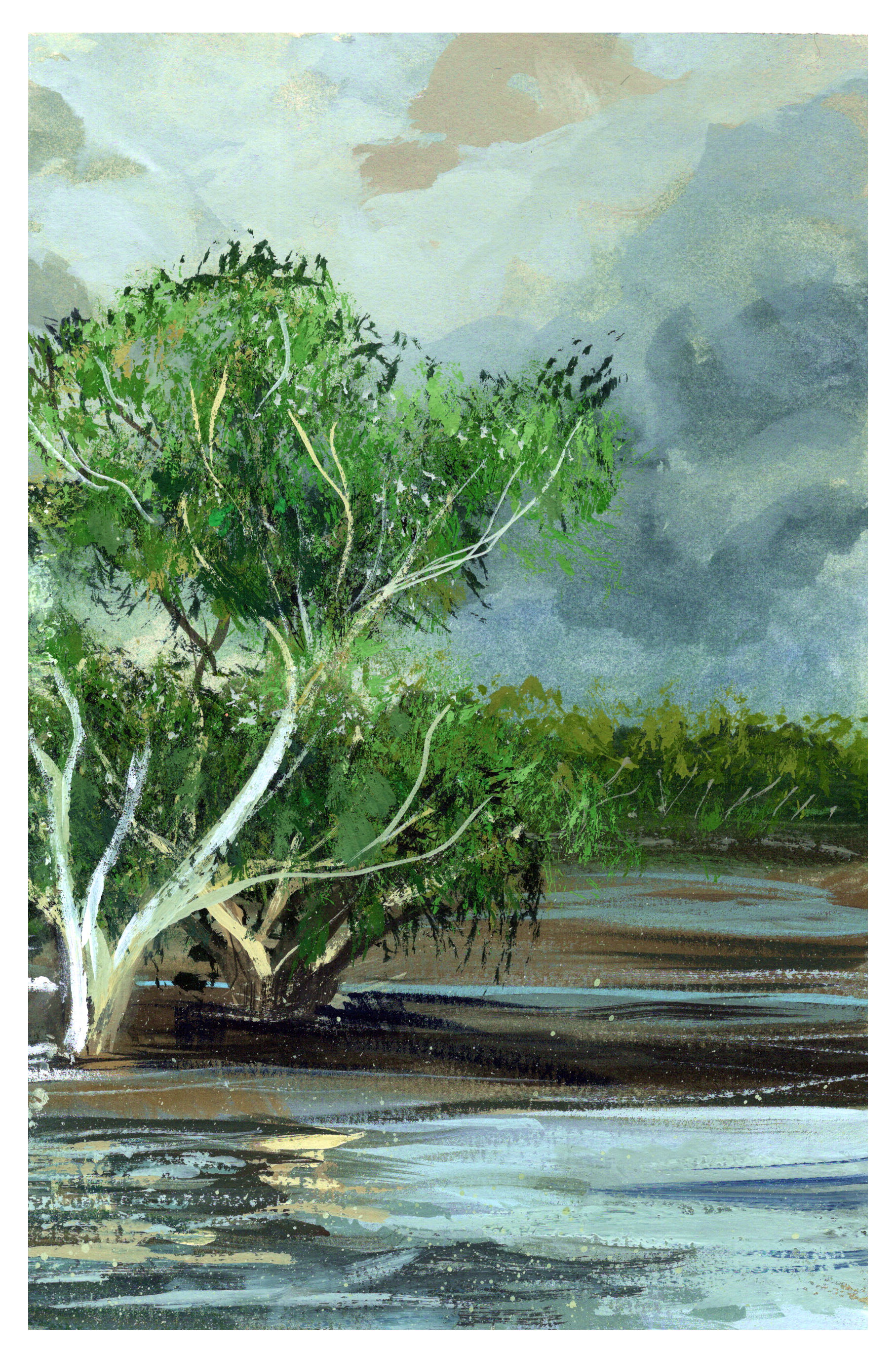 G42_Nudgee-Mangrove-part-2.png