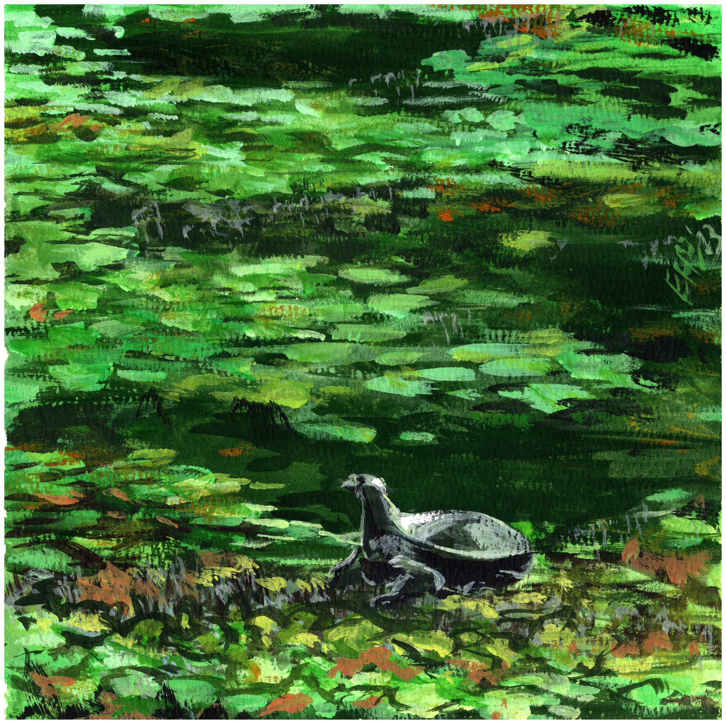 G45_Rest-among-lilypads.png