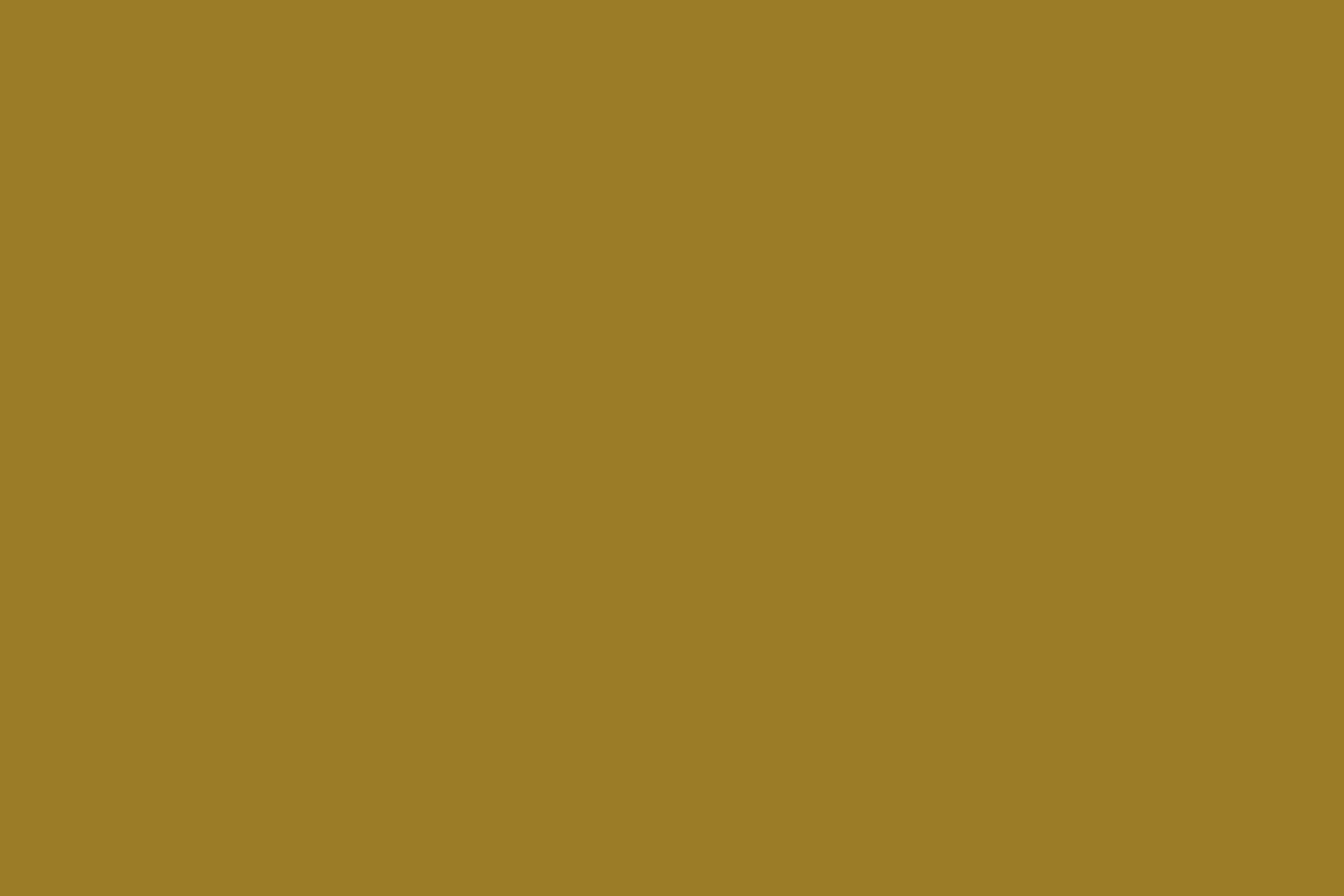 colorBlock_bronzedGoldfade.jpg