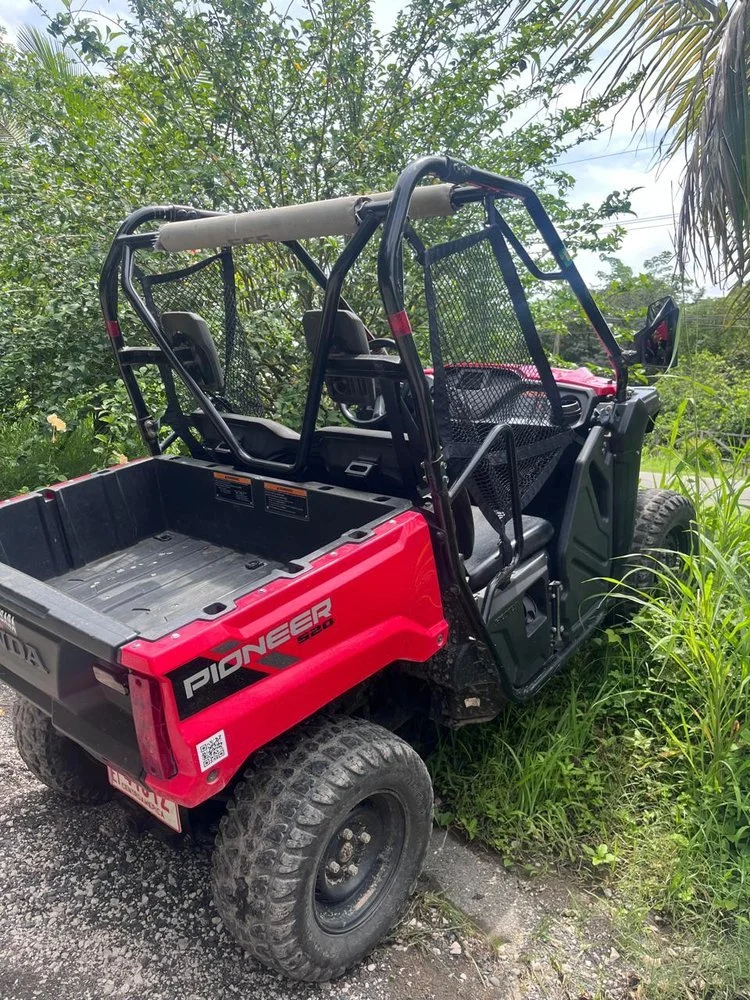 Red and black Honda Pioneer 500 off-road utility vehicle parked next to green bushes and grass with a view of the sky and power lines in the background.