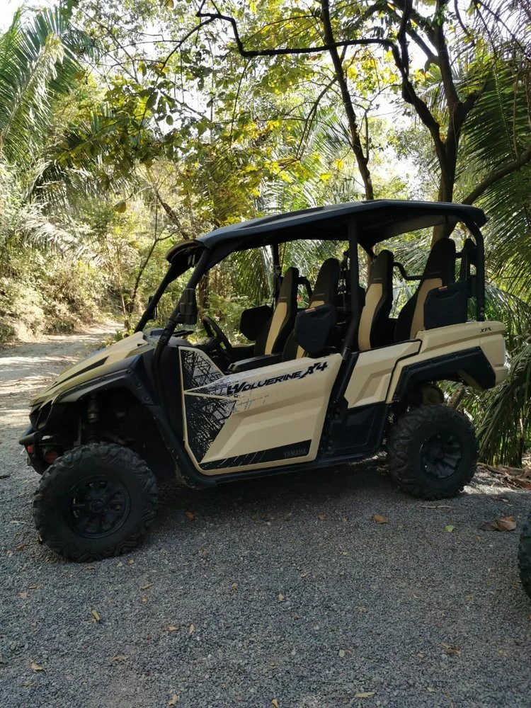 Off-road utility vehicle with four seats in a forest setting.