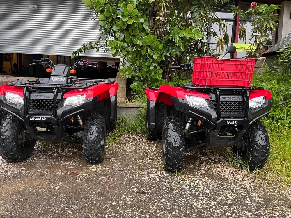 Two red and black Honda all-terrain vehicles (ATVs) parked outdoors on a gravel surface beside green plants and a building.