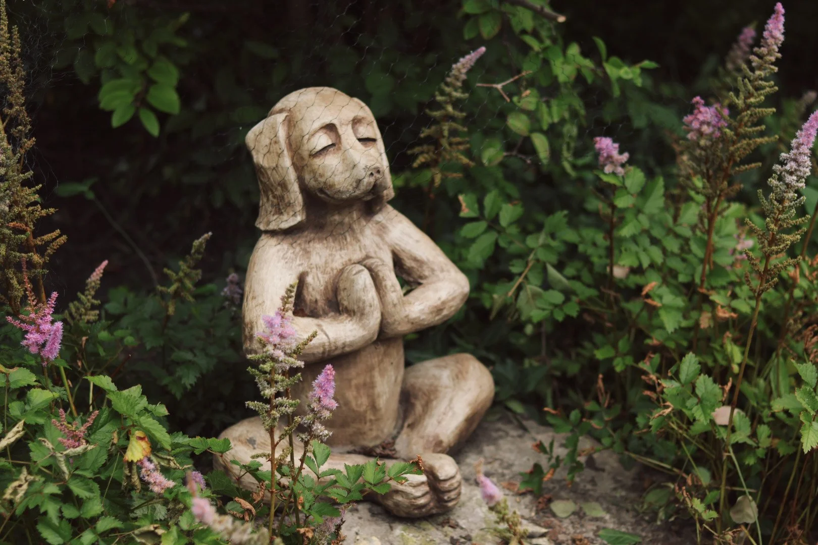 A stone dog statue sits cross-legged in a meditation pose, paws pressed together, among pink flowers in a garden.