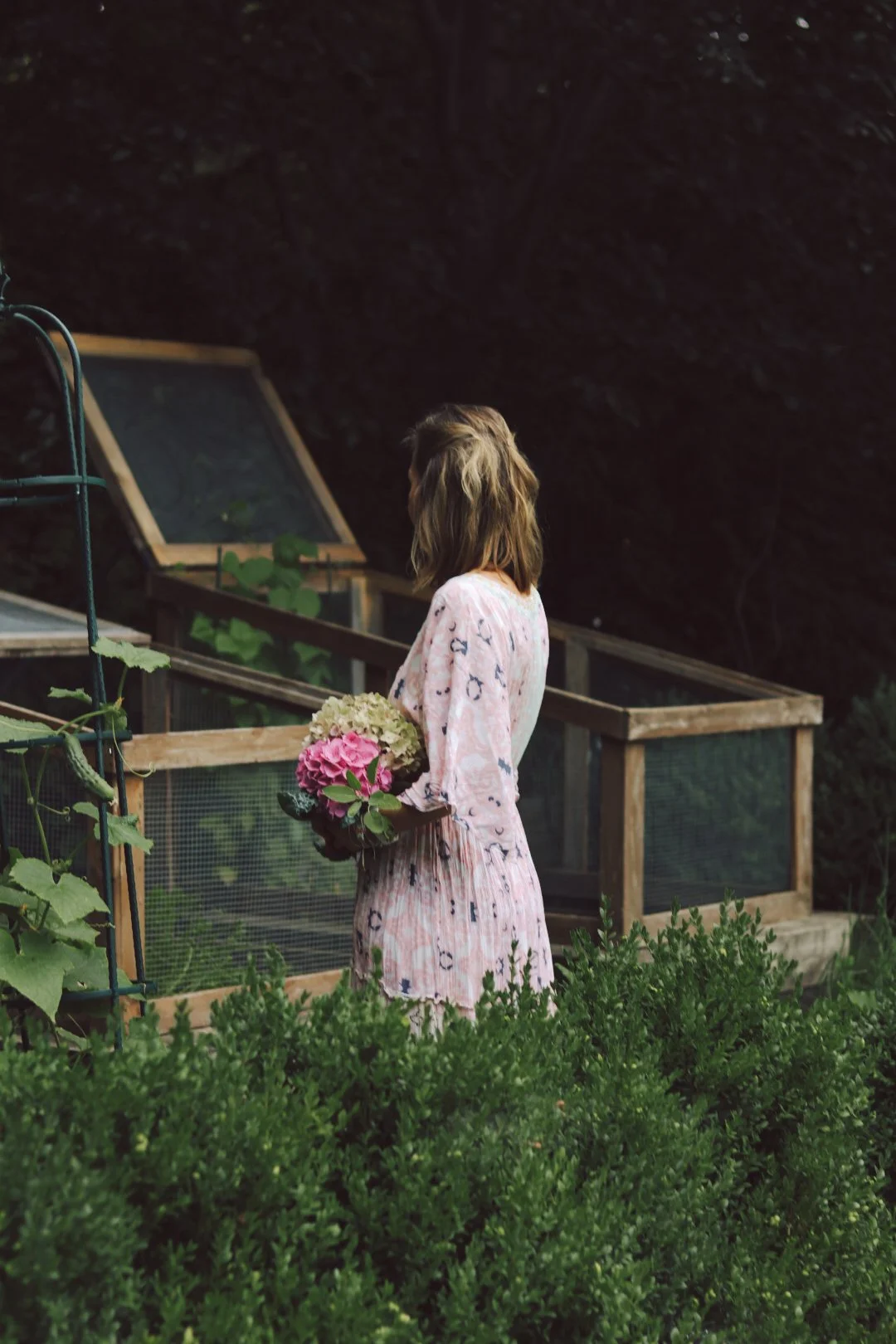 A woman in a flowing pink dress pauses in her vegetable garden, an armful of just-picked hydrangeas against her side.