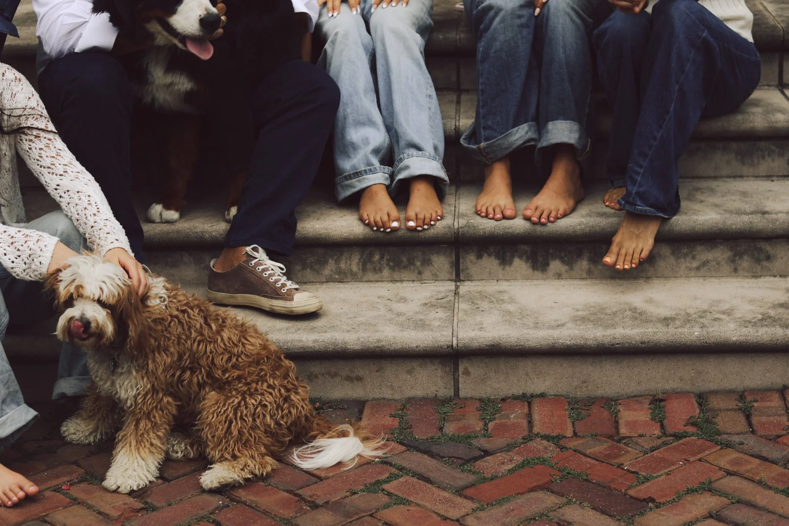 A fluffy brown dog sits on a brick patio while another dog and several barefoot people sit on the stone steps behind.