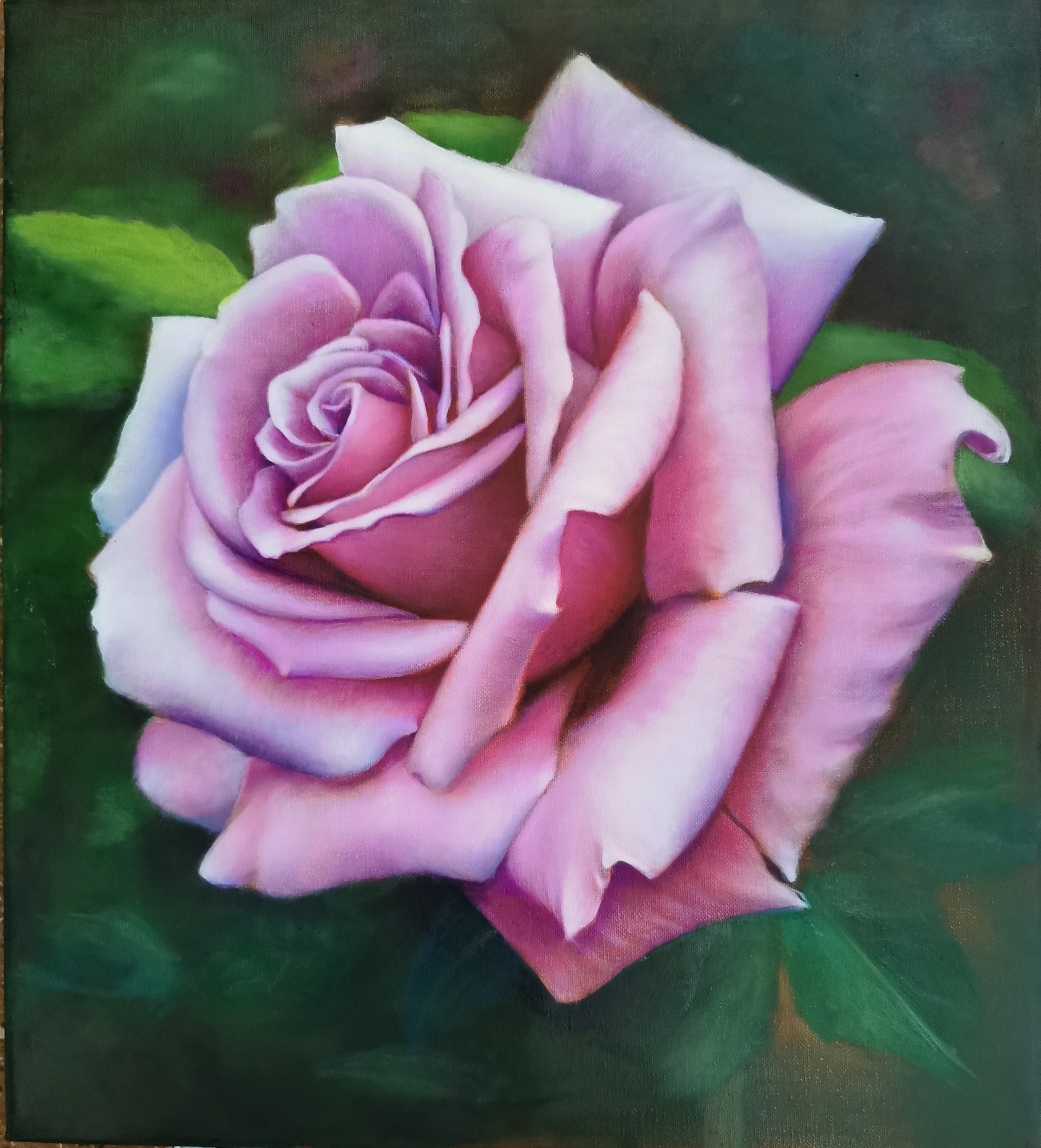 A detailed painting of a pink and purple rose with green leaves in the background.