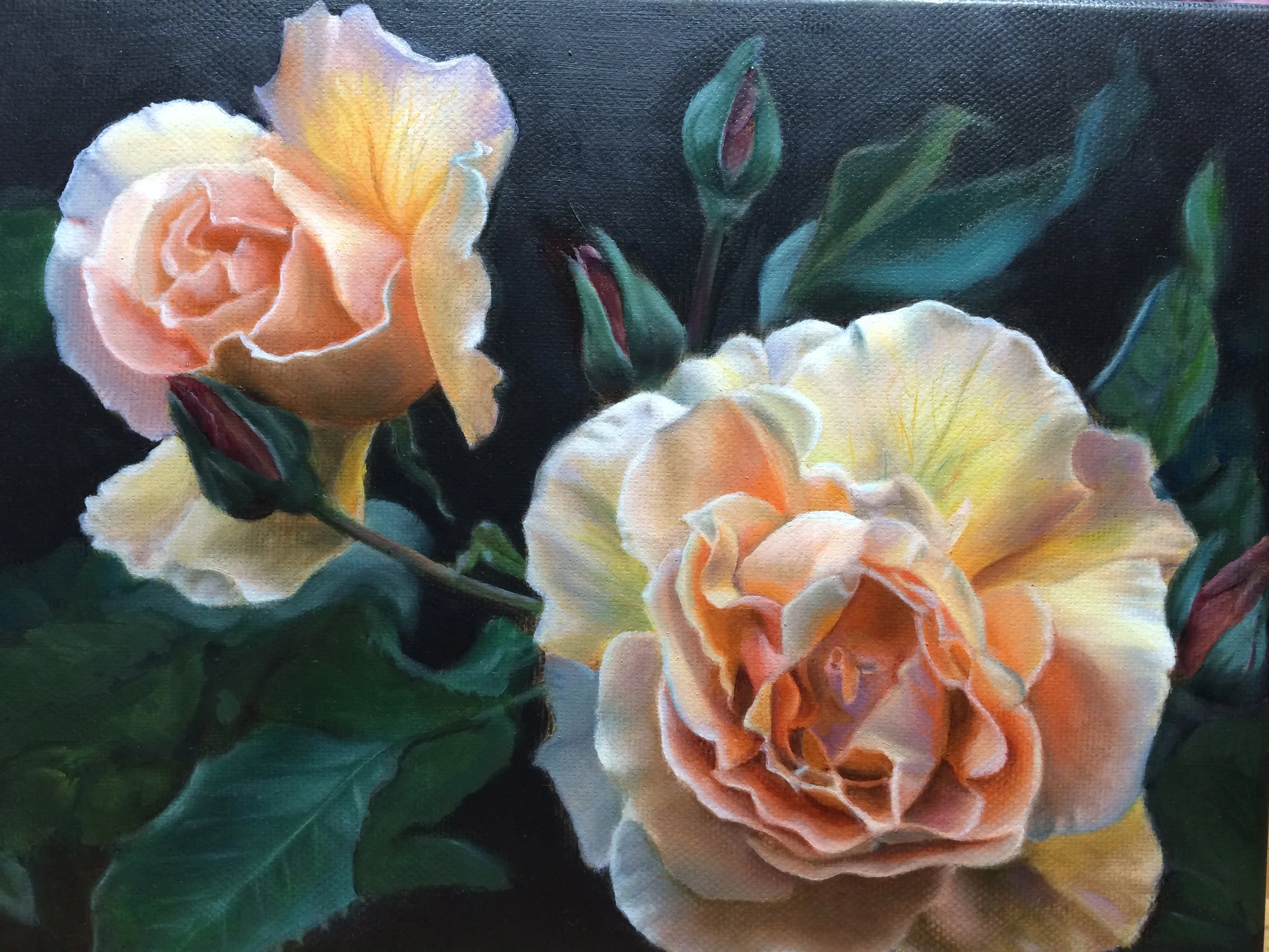 A painting of two peach-colored roses with green leaves and a black background.