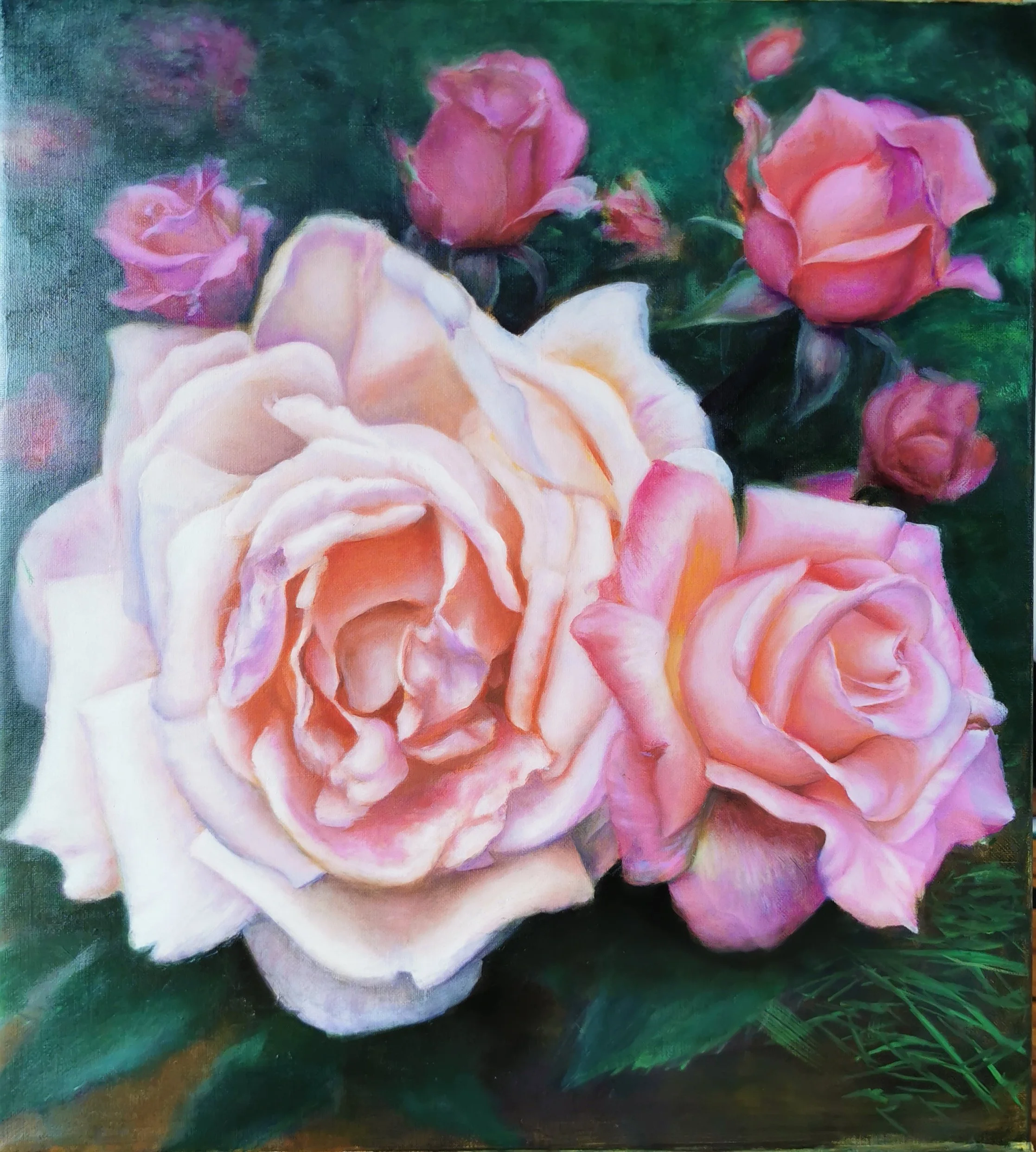 Painting of pink and peach roses with green leaves in a realistic style.