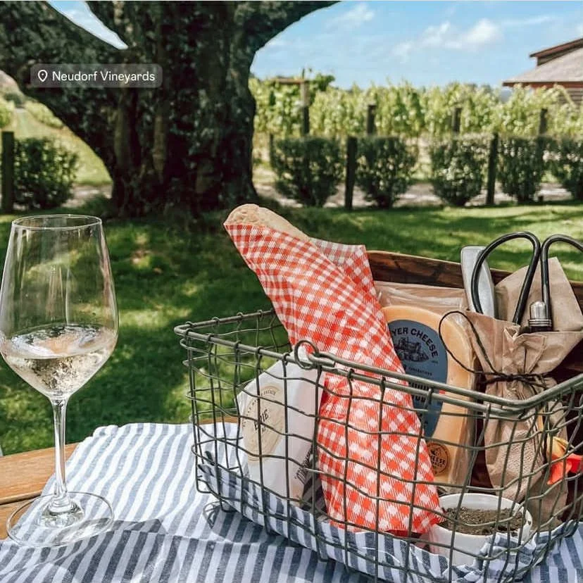 Neudorf Vineyard