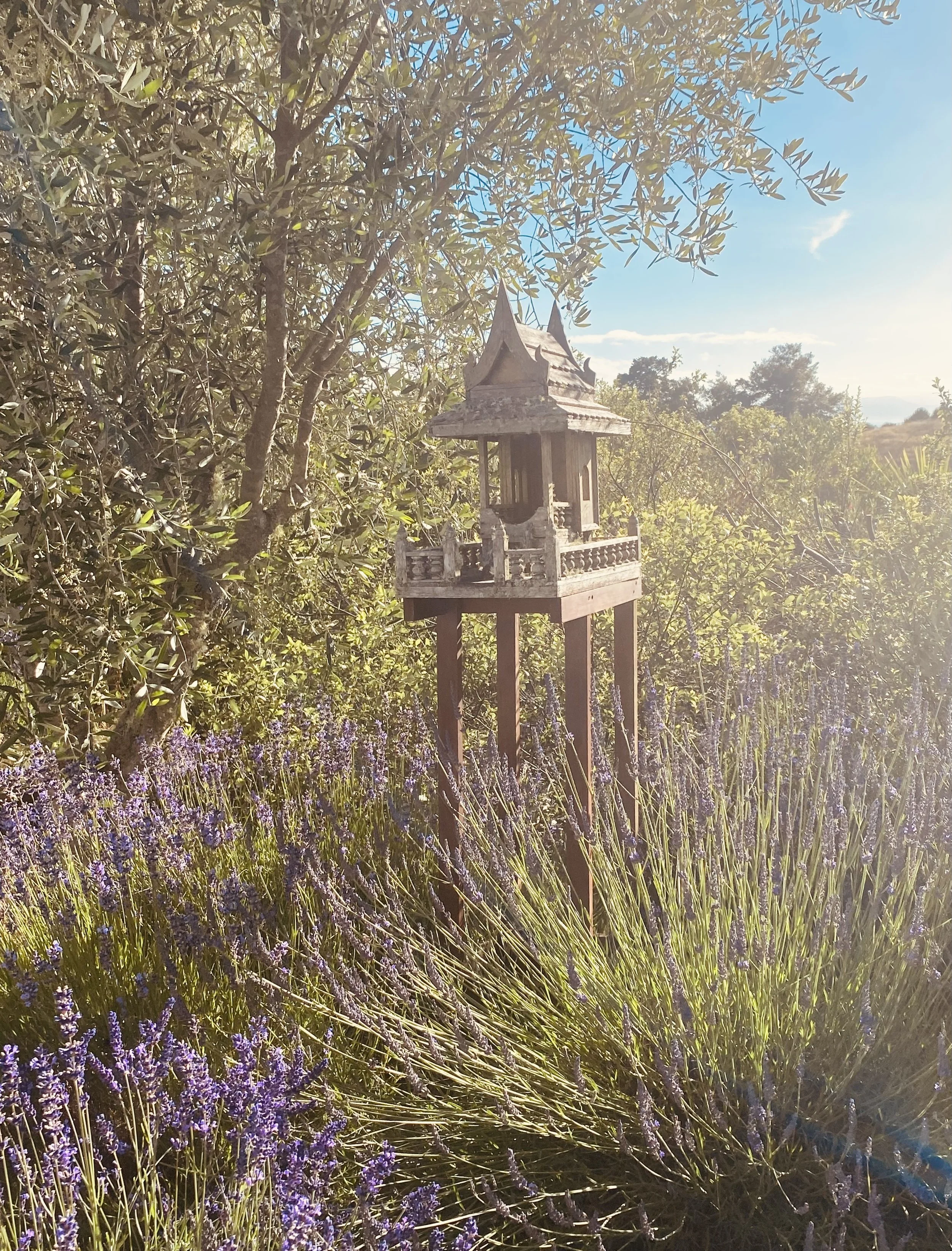 Restoring Balance: From Landscape to Table at Atatū&nbsp;