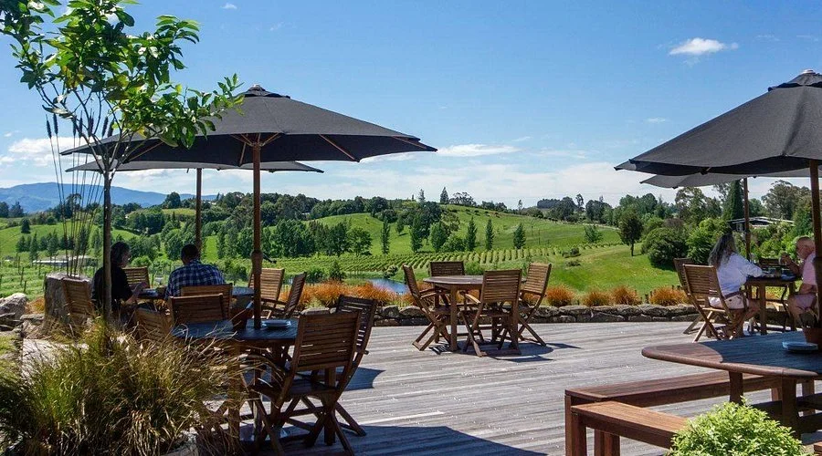 Gravity Winery