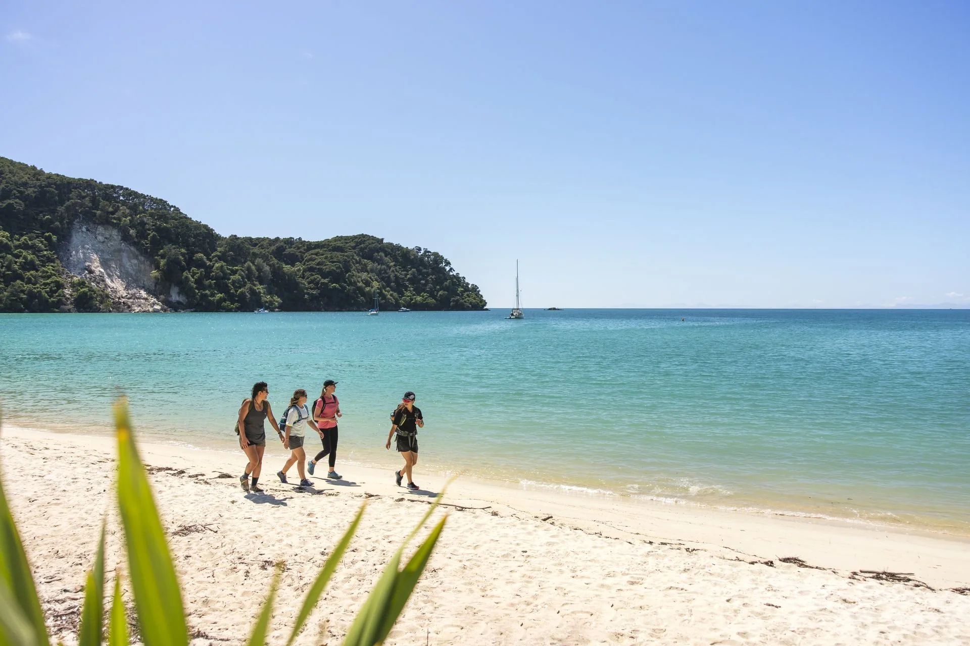 Abel Tasmen National Park