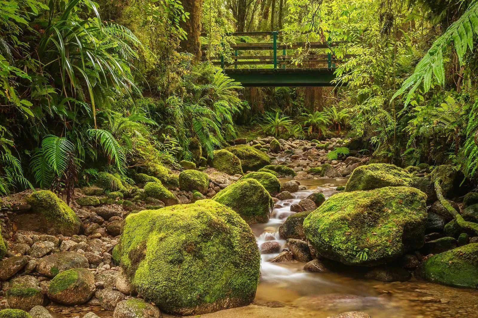 Kahurangi National Park