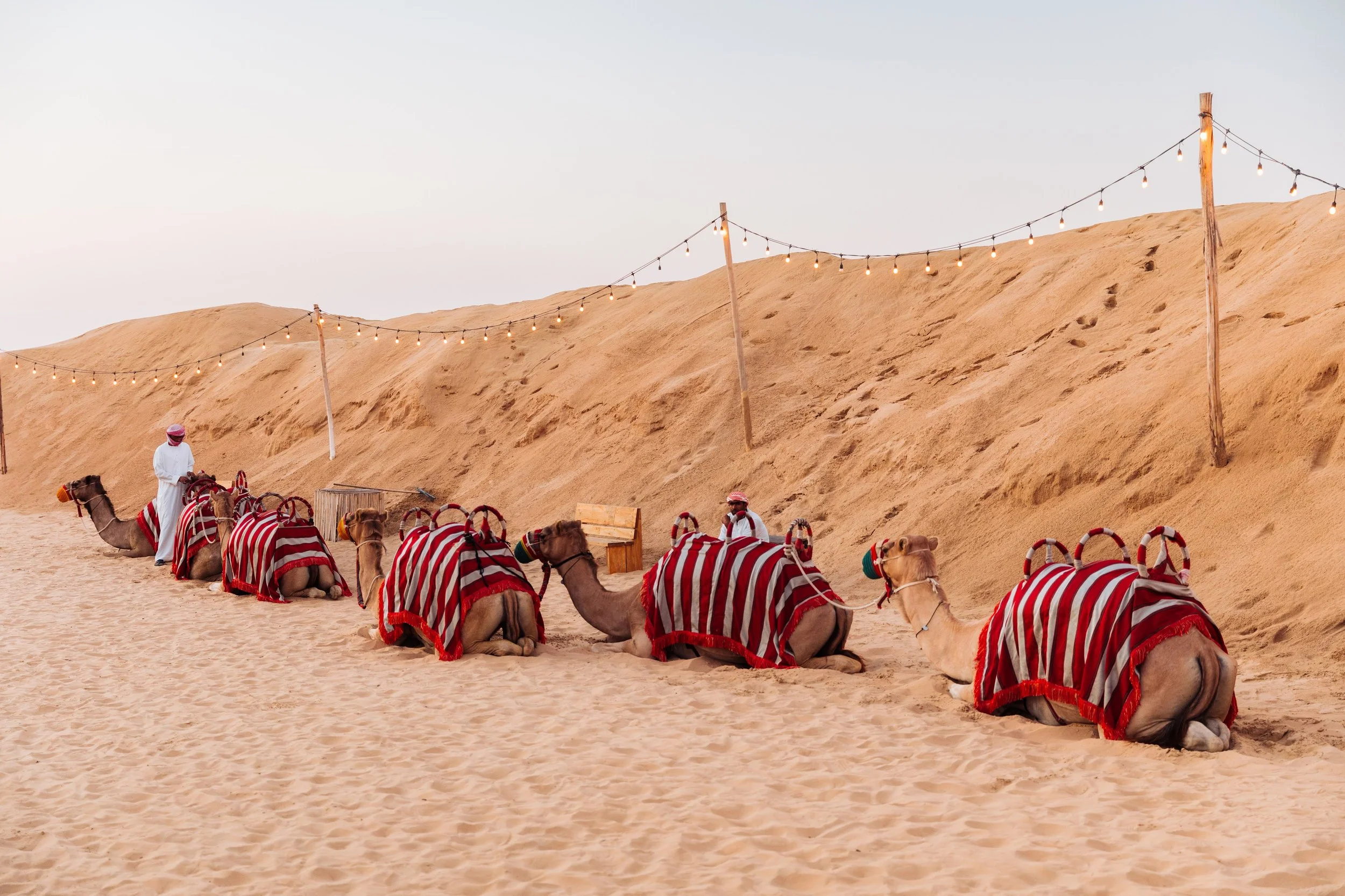 untitled-20231227untitled shoot-56.jpg