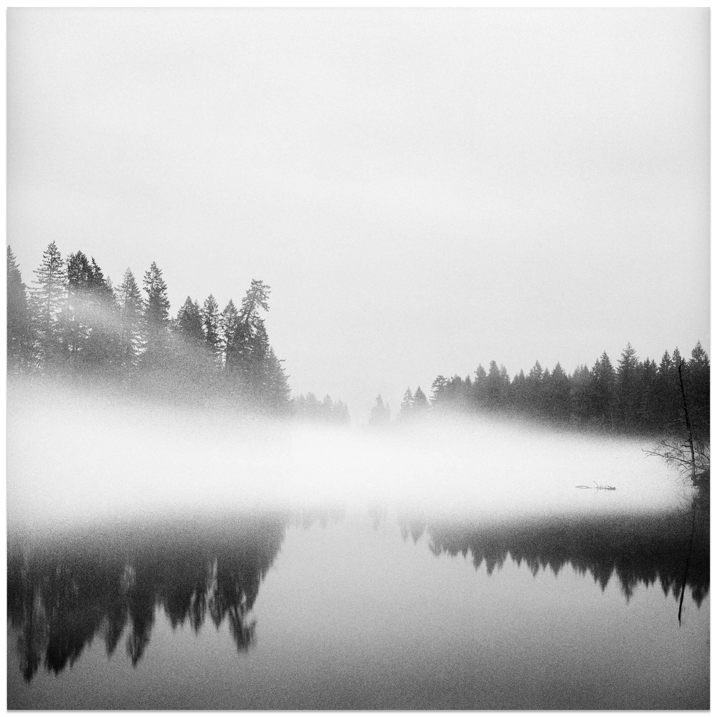 A Disappearing Divide