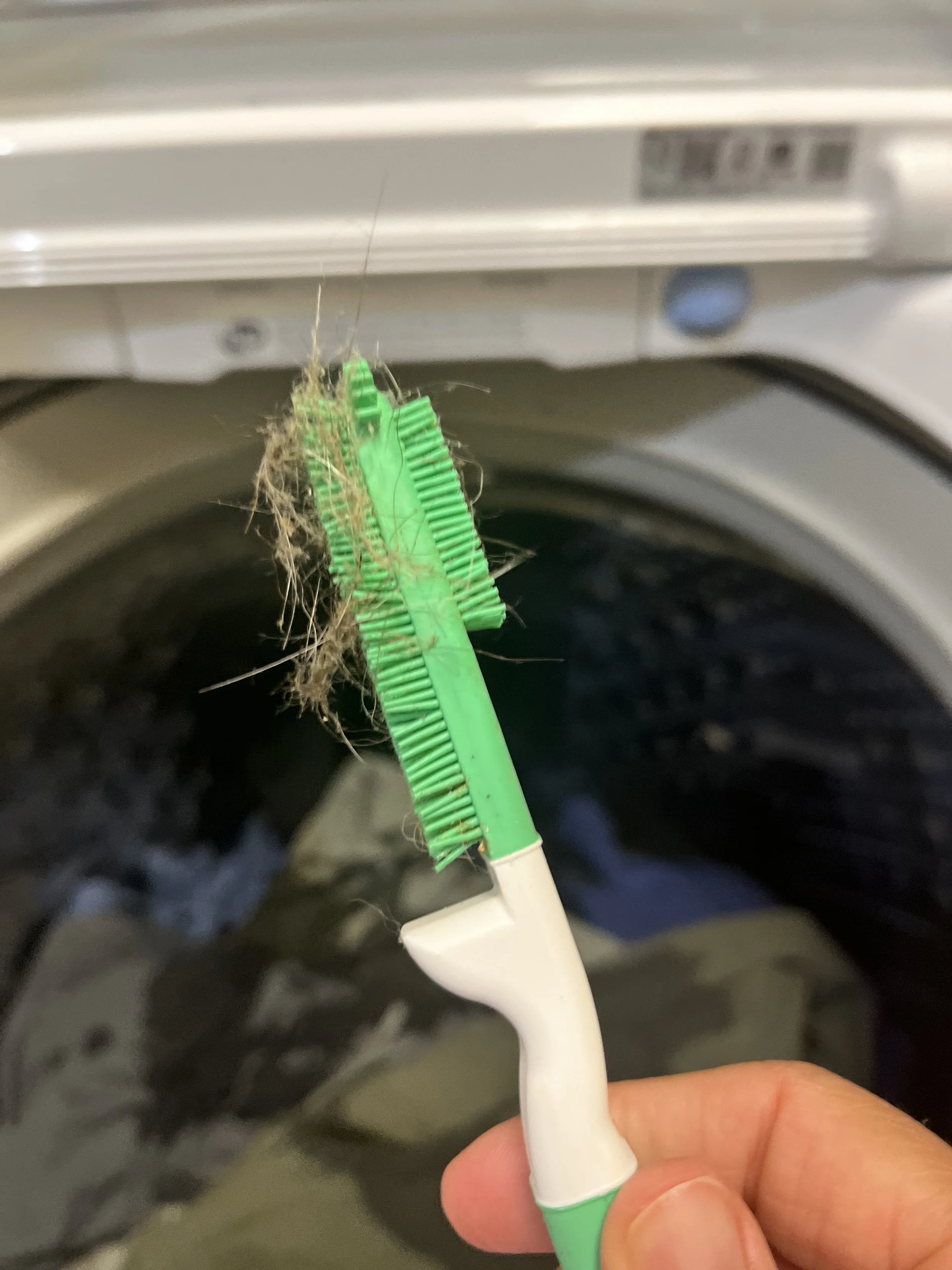 A green and white brush with tangled hair and mold on the bristles, held in front of a front-loading washing machine.