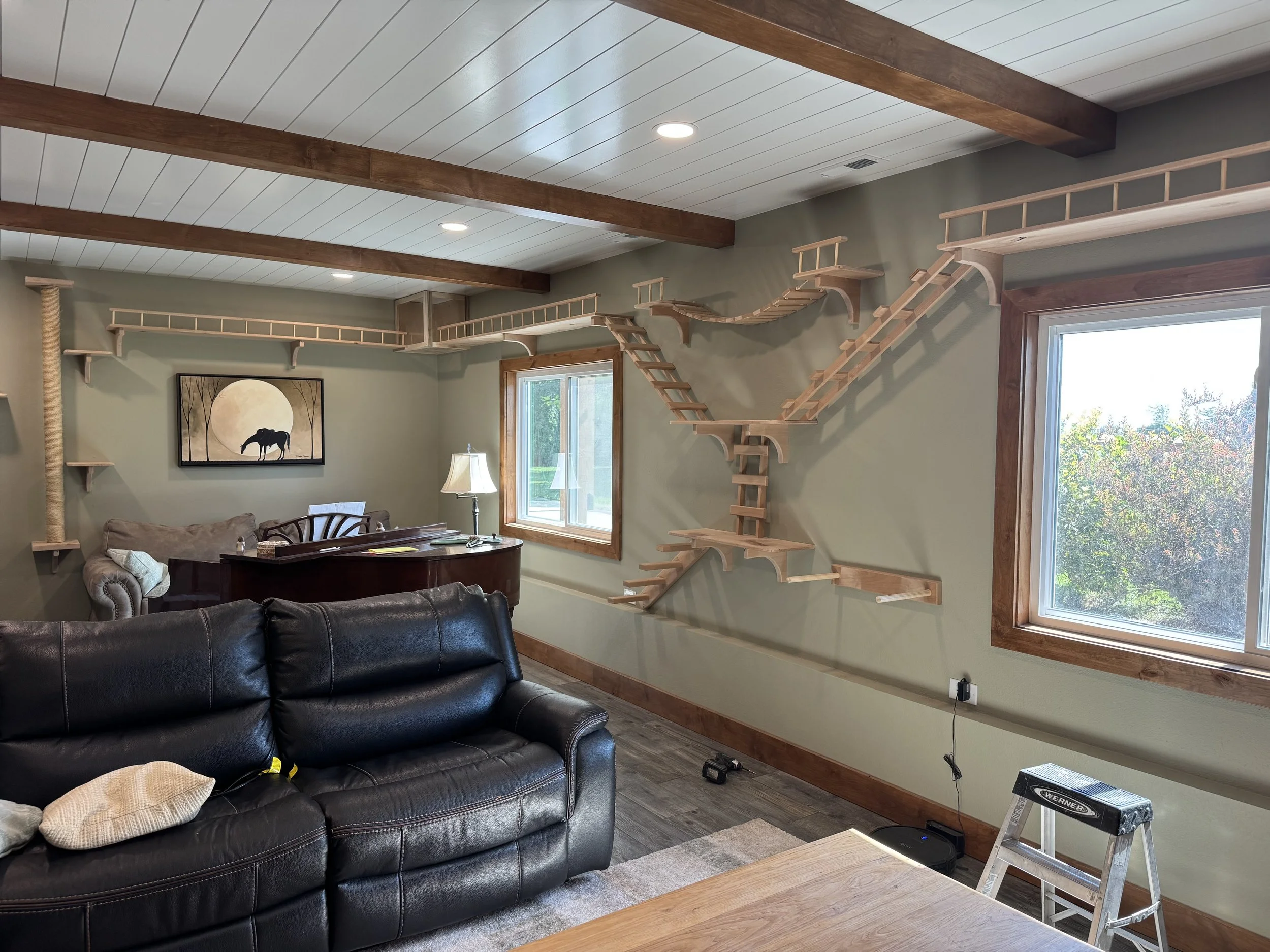 Living room with wooden ceiling beams, windows, a leather couch, a piano, and a wooden cat tree with multiple levels attached to the wall.