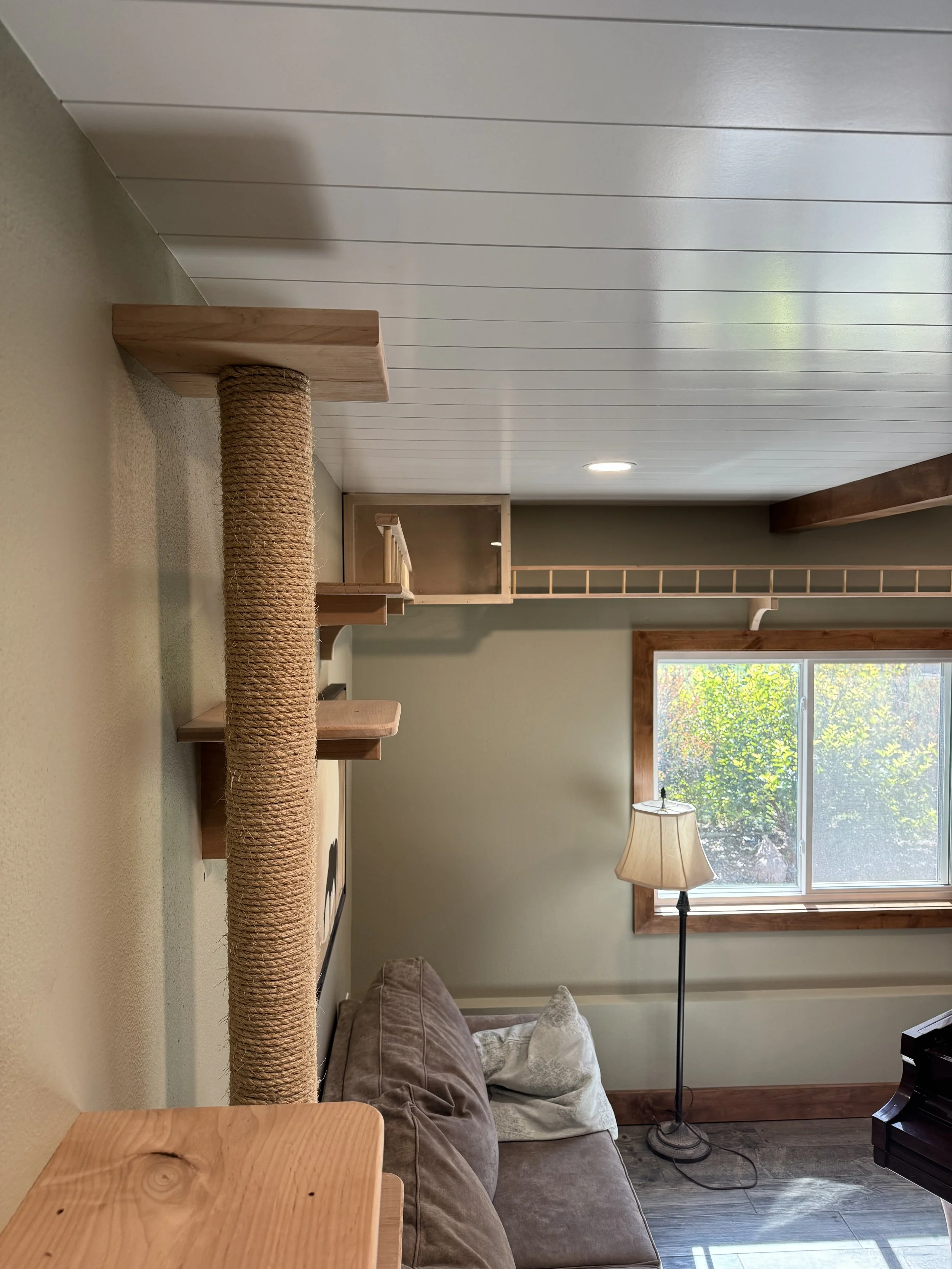 Living room with a beige couch, a floor lamp, a window with a wooden frame, and a scratching post with a wooden platform.