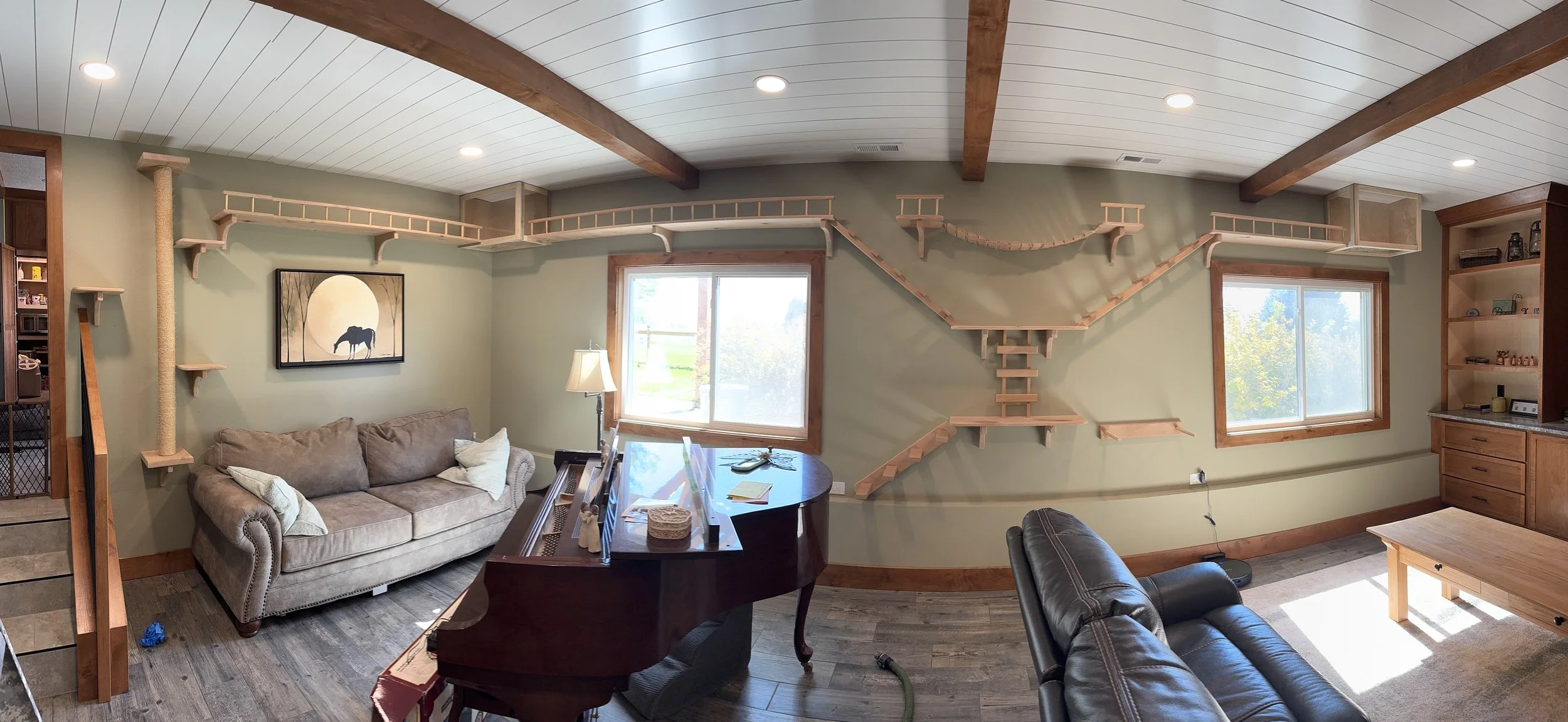 Living room with a cat tree and various climbing structures on the walls and ceiling, beige couch, black leather chair, piano, and windows showing outdoor greenery.