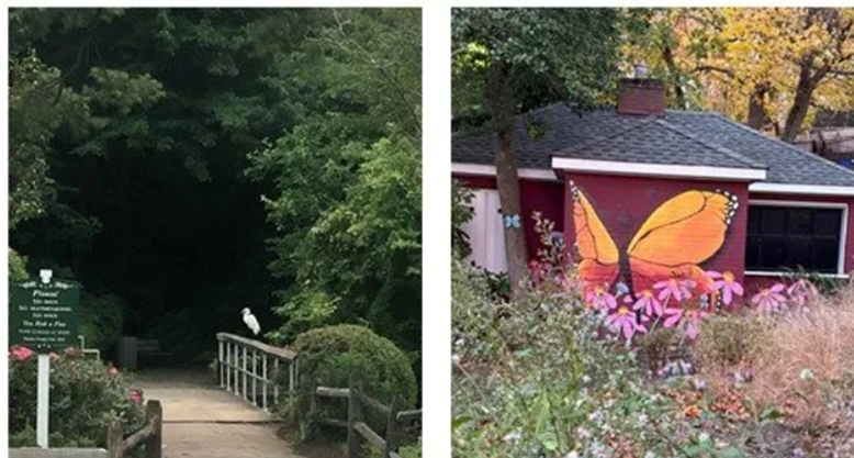 Baxter's Pond Image.png