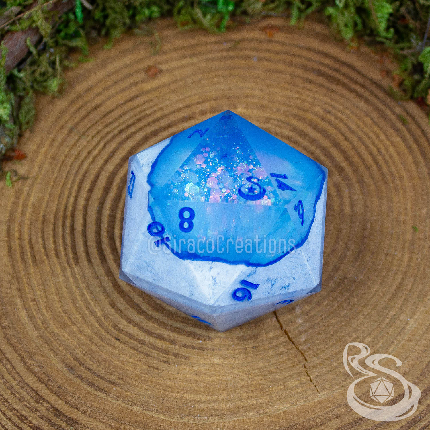 Winter Truffle - Sir Chonk Solo D20