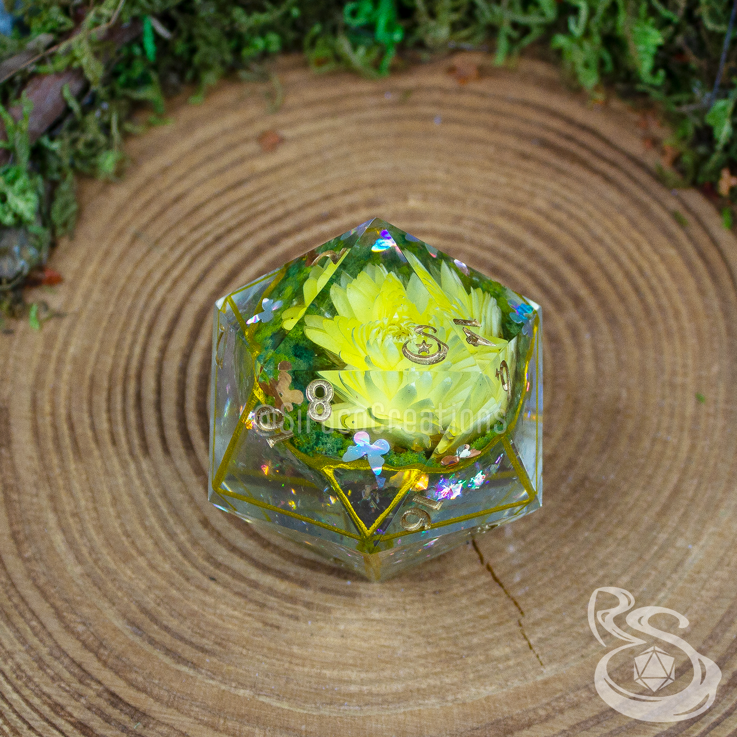 Faerie Garden - Sir Chonk Solo D20