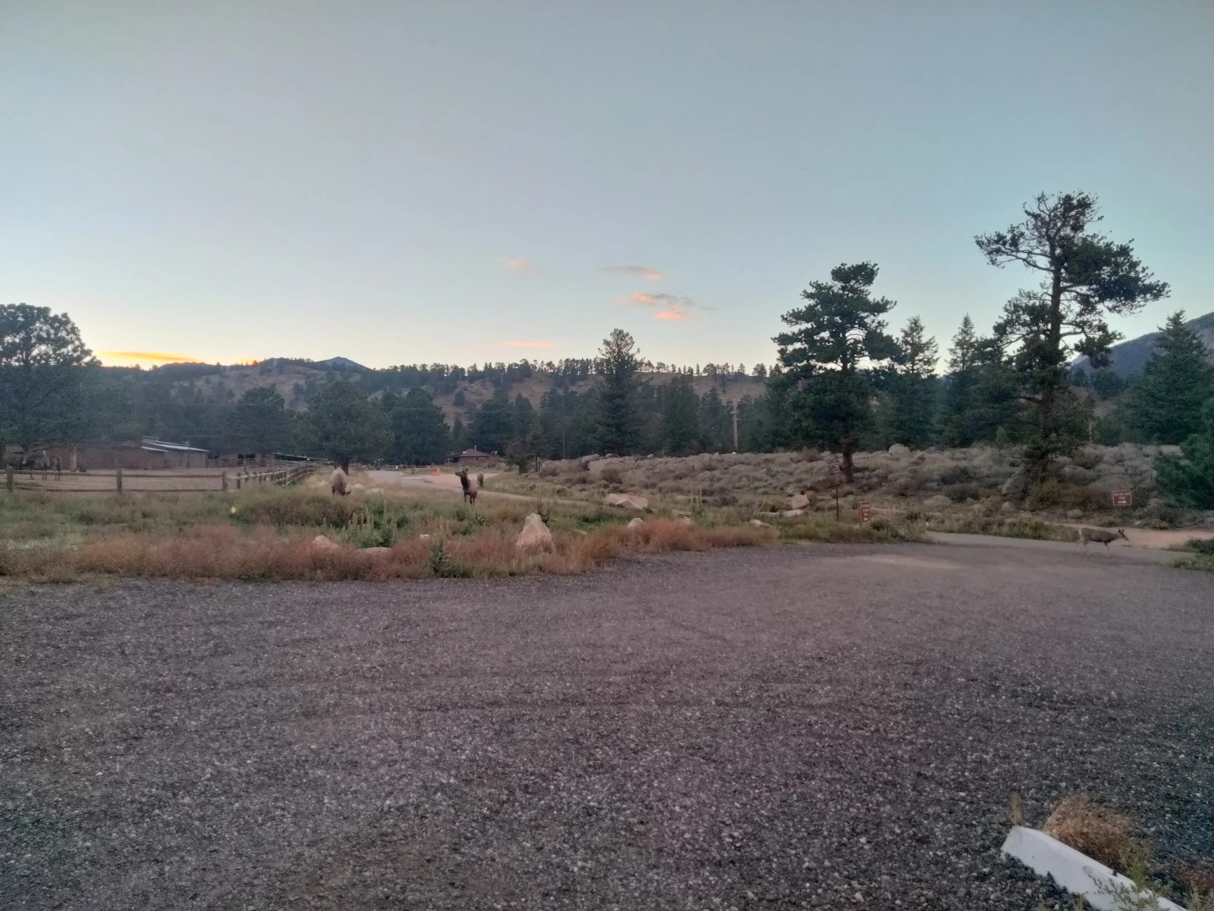 A rural landscape at dusk with trees, mountains in the background, and a dirt open field with some horses, elk, and deer grazing.
