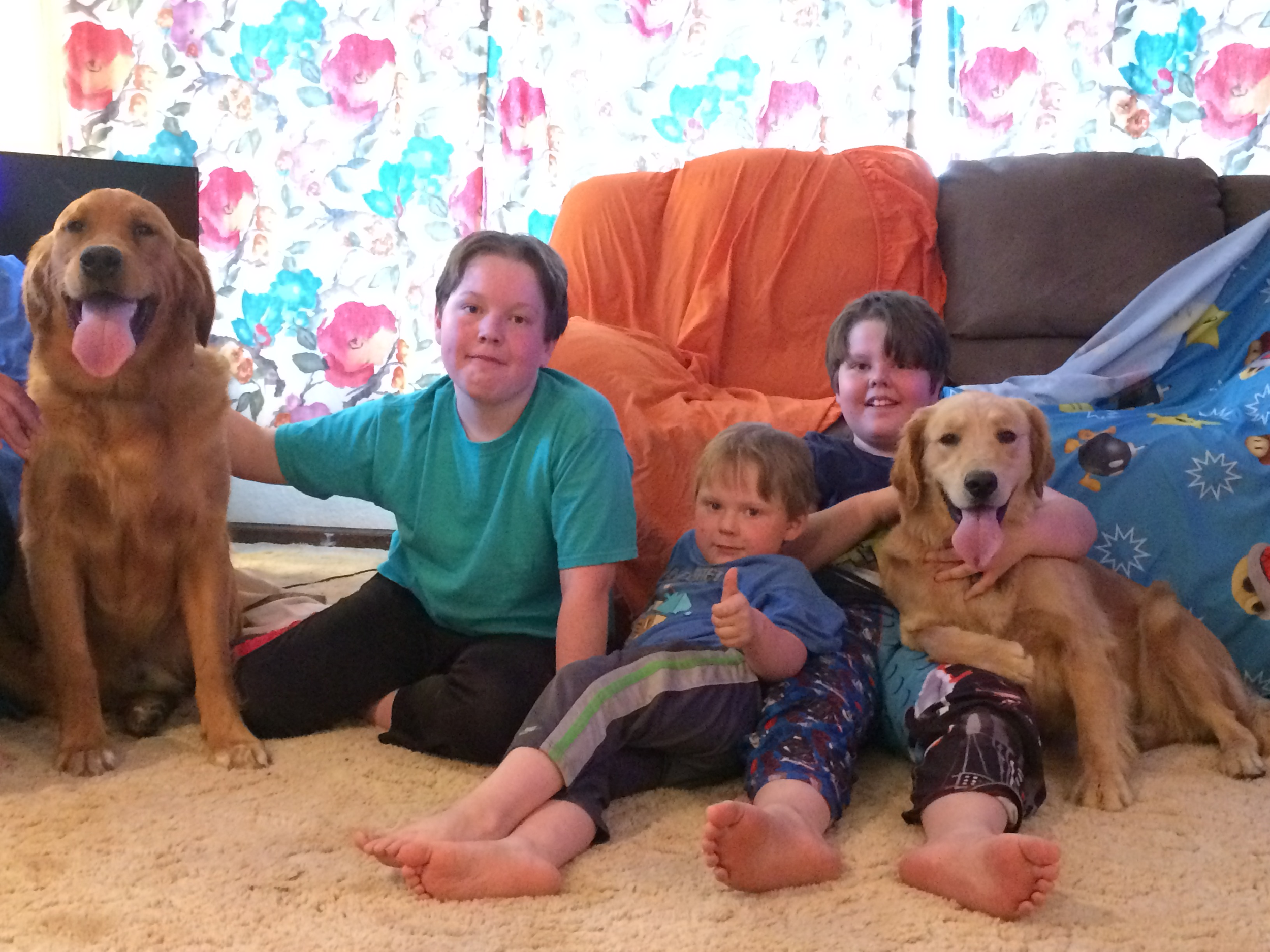 Celebrating 10 Years of Oakes Family Golden Retrievers