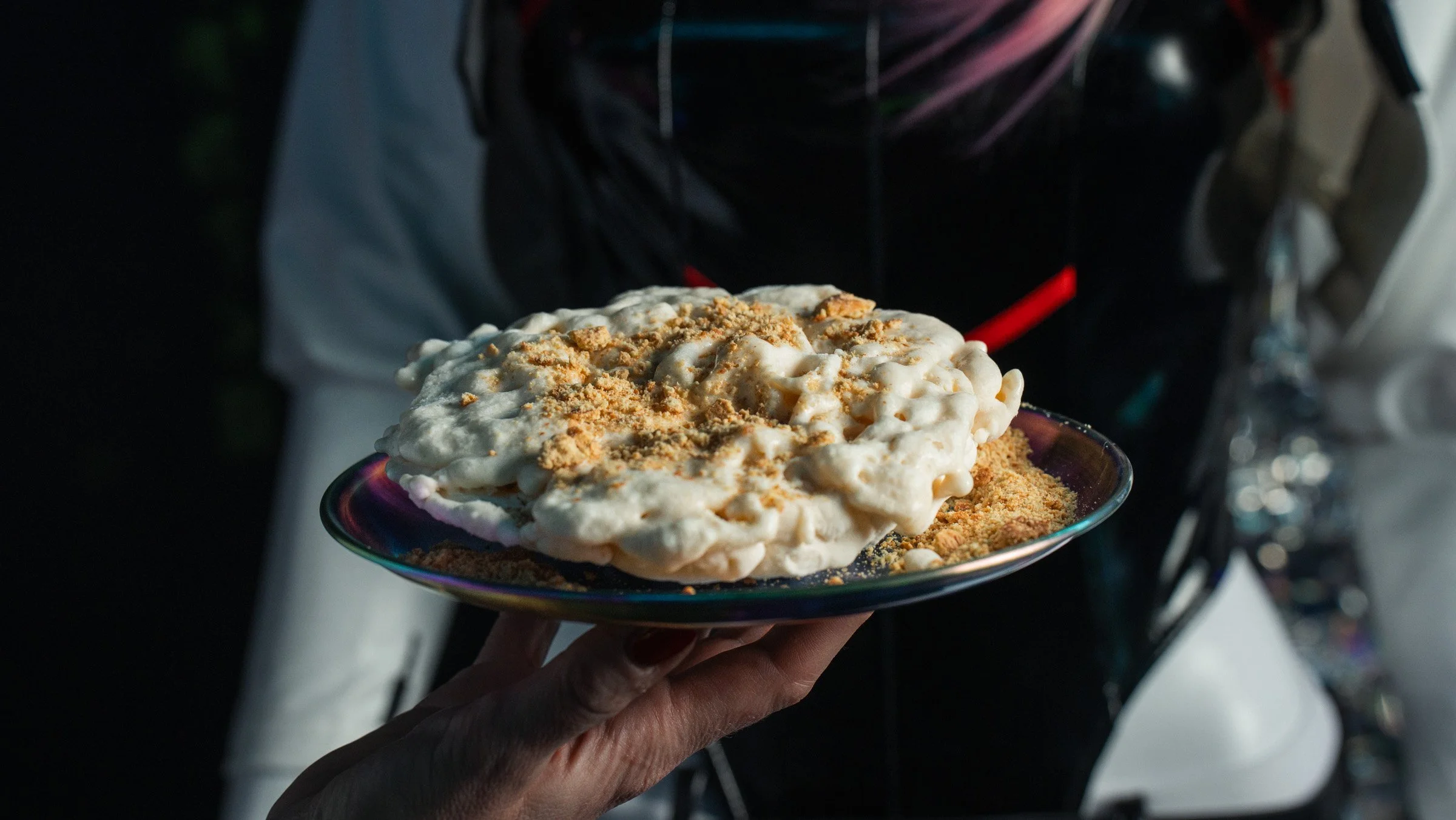 A plate of food with a creamy dish sprinkled with crushed crackers or crumbs, held by a person's hand against a dark background.
