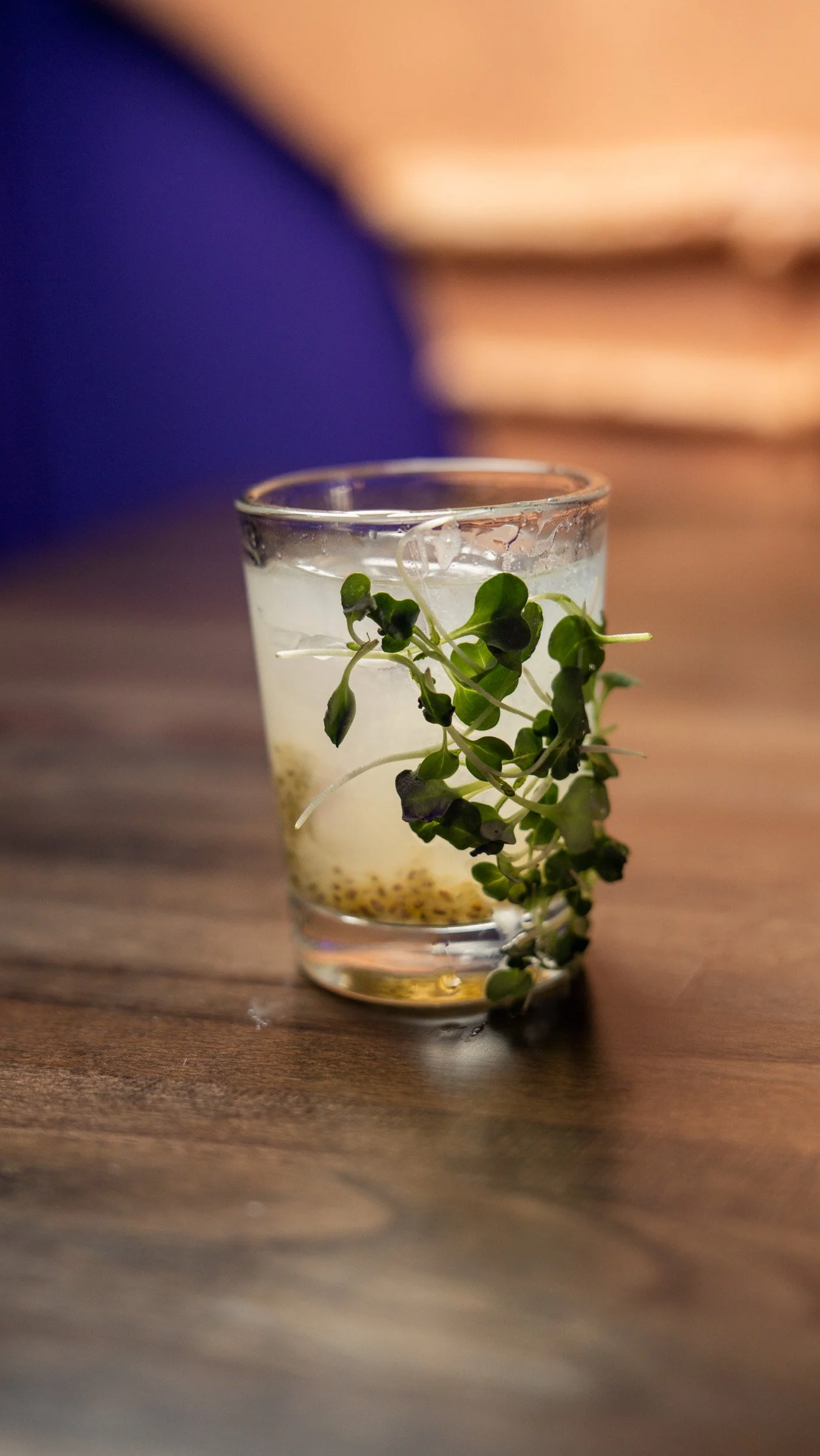 A glass of sparkling water with a sprig of microgreens leaning on the side, placed on a wooden surface. Blurred background with warm lighting.