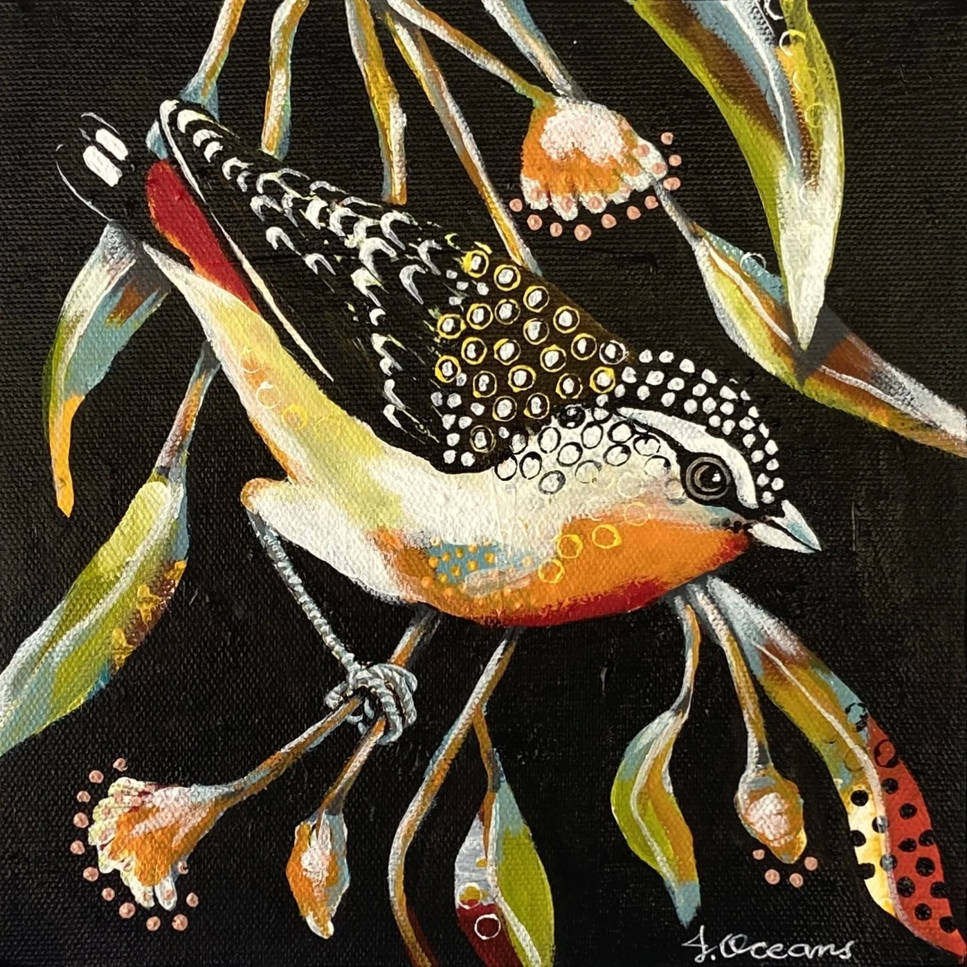 Spotted Pardalote - Acrylic on Canvas SOLD