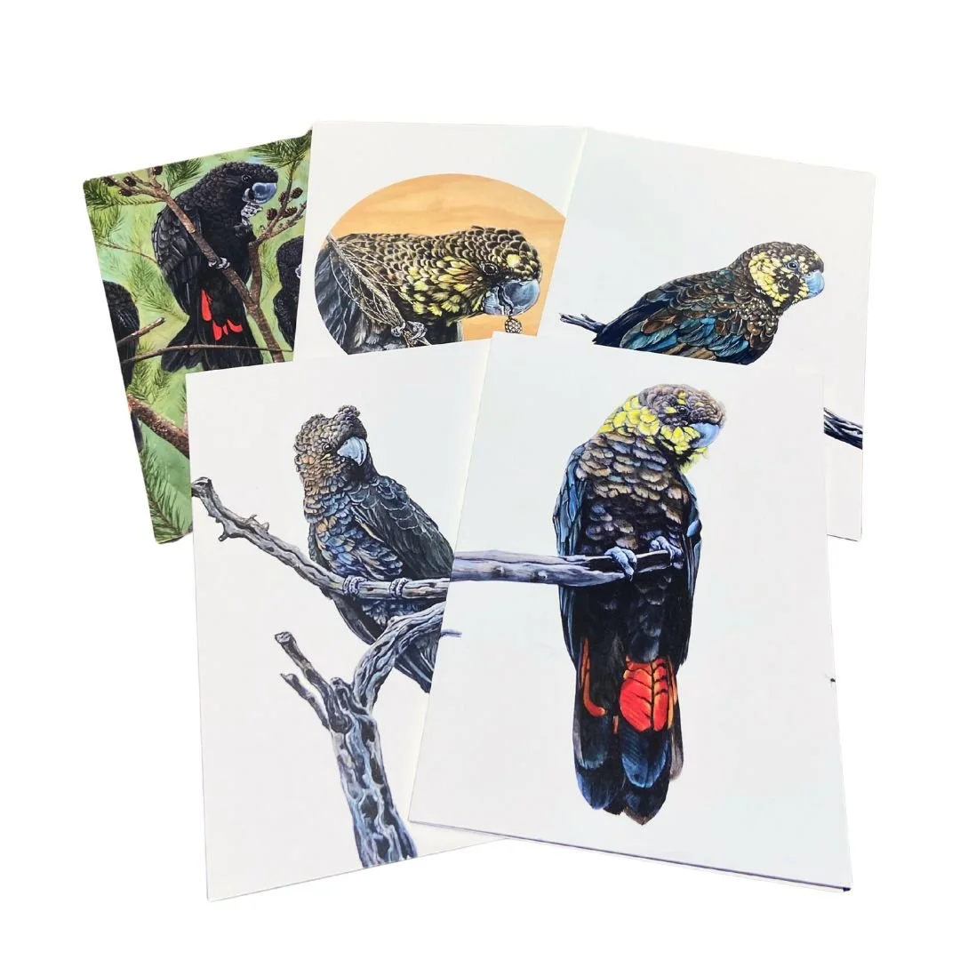 Glossy Black Cockatoo folded cards