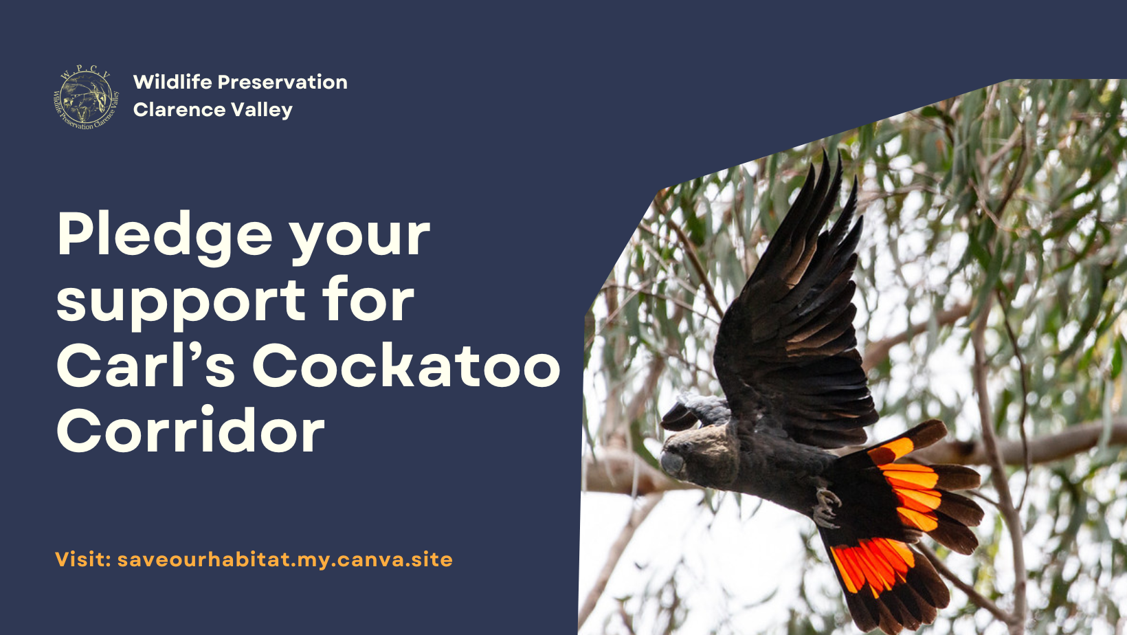 Pledge tile for the WPCV website