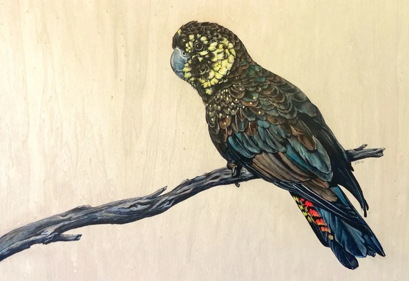 Flossy The Glossy - Acrylic on beech SOLD