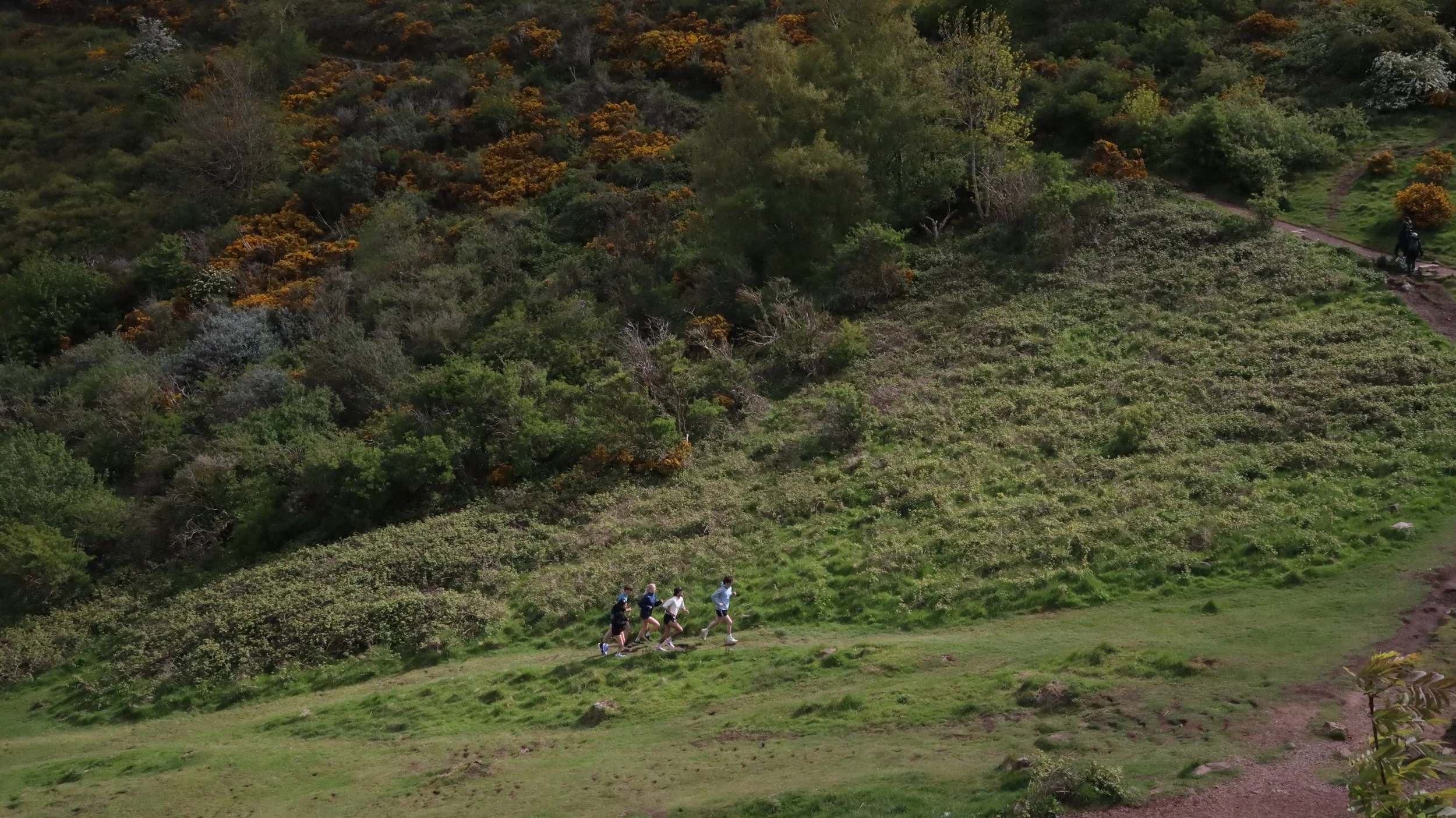 A group of five people running on a trail in a lush green park with bushes, trees, and a dirt path in the background.