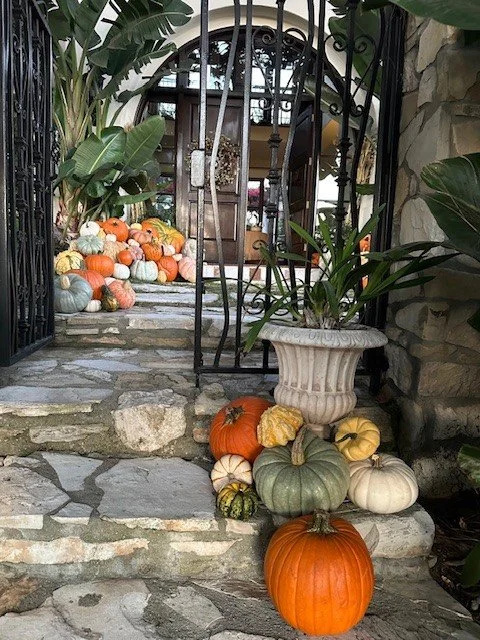 Grand package design by Maison Pumpkin