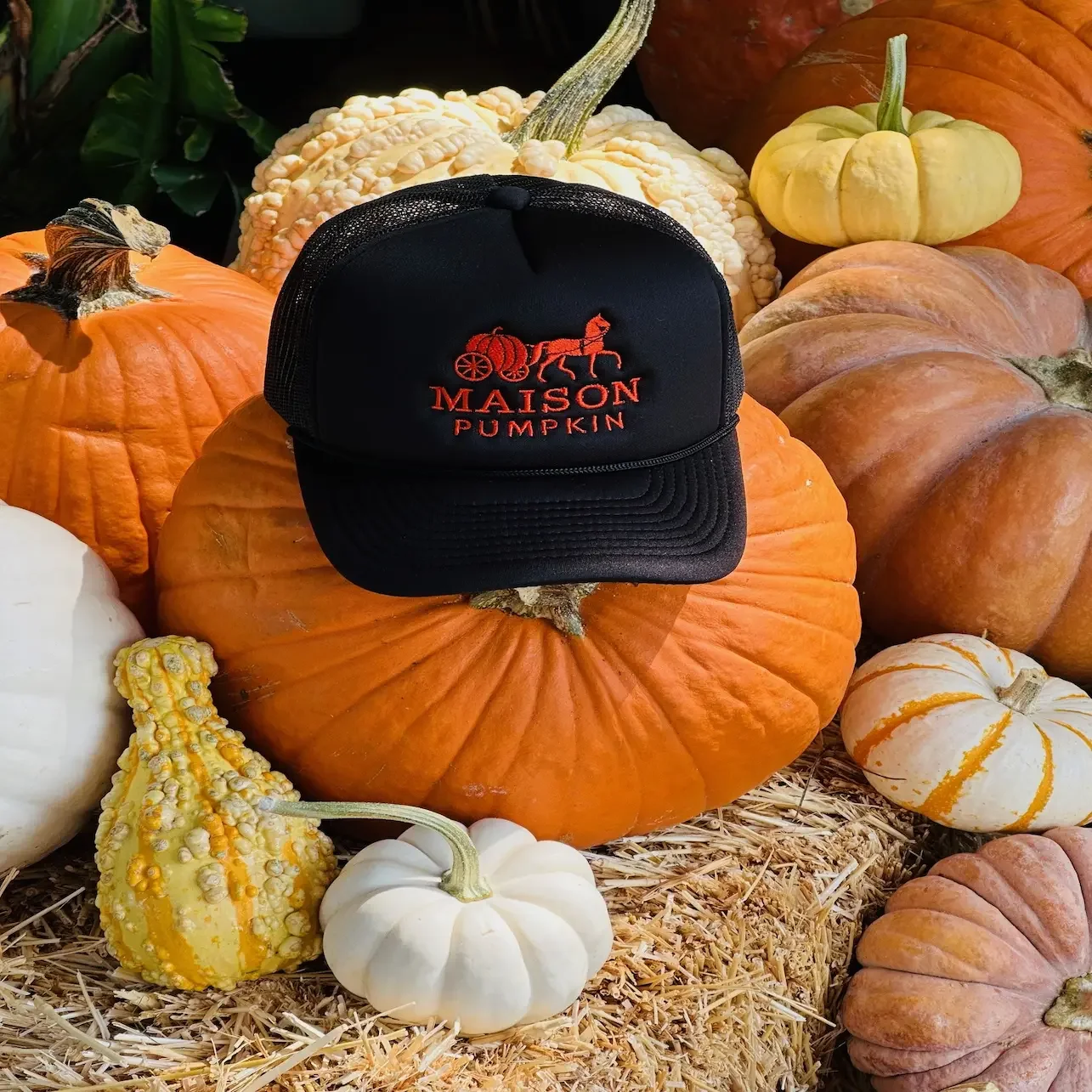 Maison Pumpkin trucker hat sitting atop a pumpkin