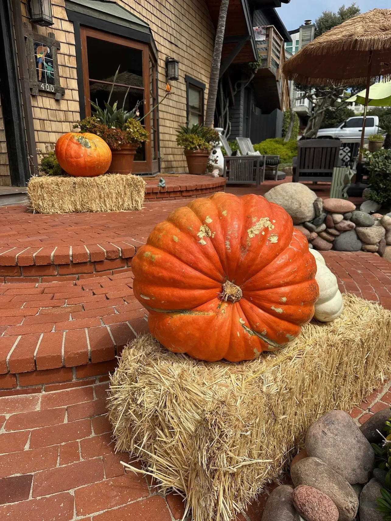Grand Prize pumpkin sitting atop hay bale at Los Angeles home