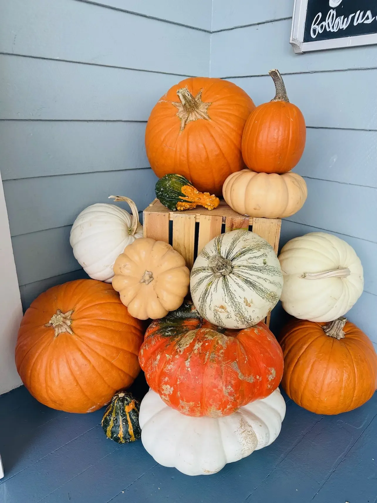 Stacked pumpkins and gourds in front of a Manhattan Beach home