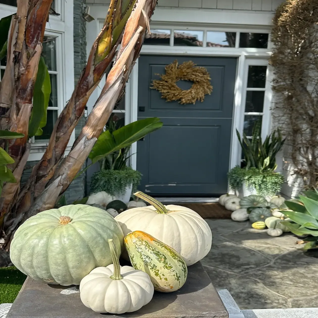 Blanc package front porch design