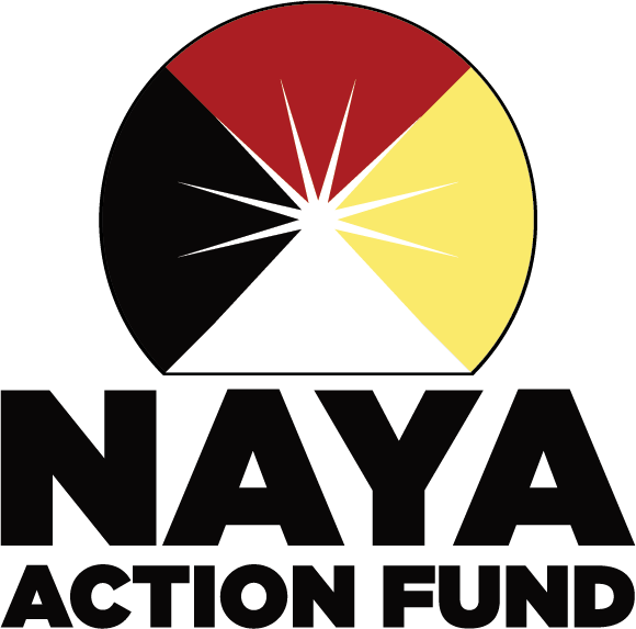 Image of NAYA action fund logo